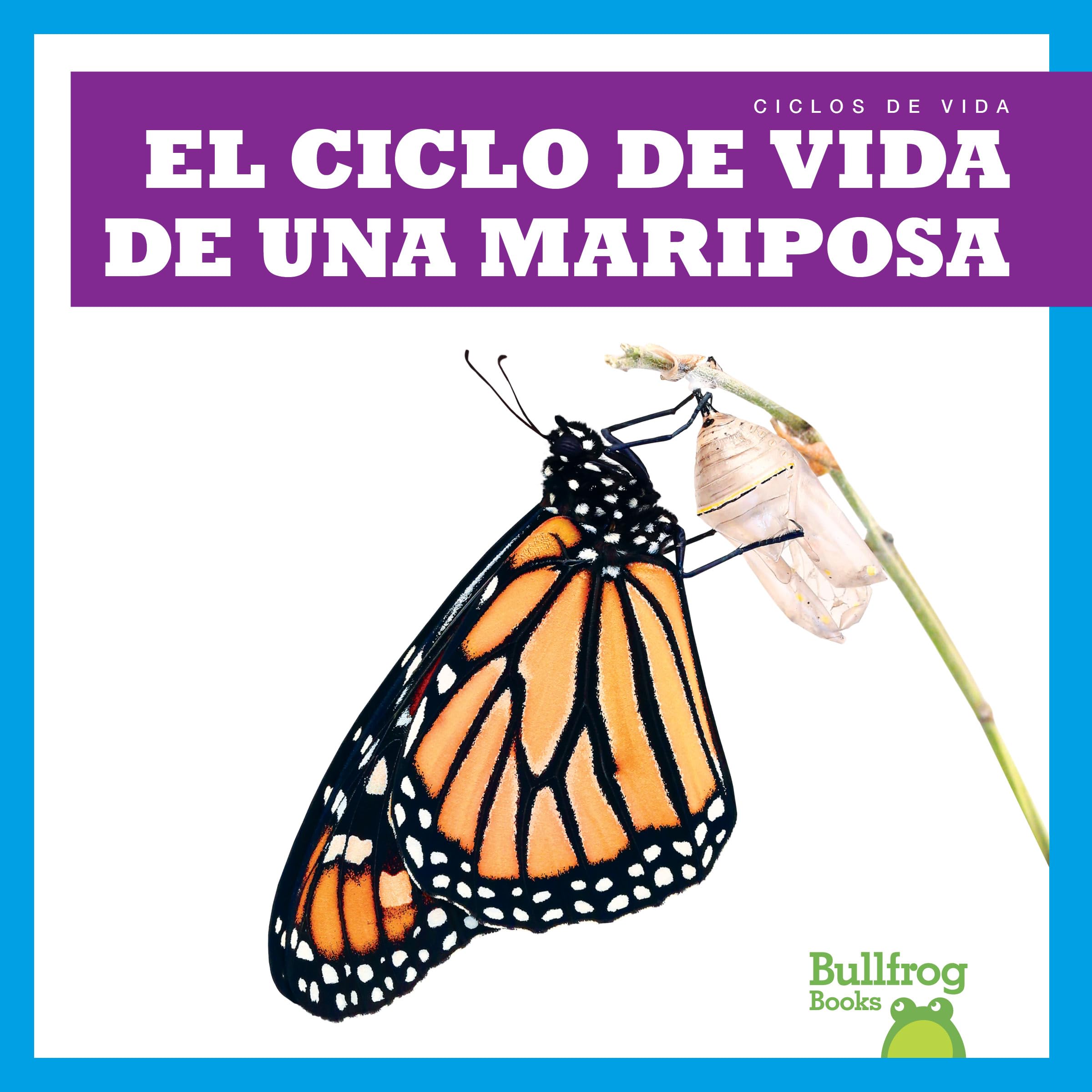 El ciclo de vida de una mariposa/ A Butterfly's Life Cycle (Ciclos de vida/ Life Cycles) Novels & Short Stories