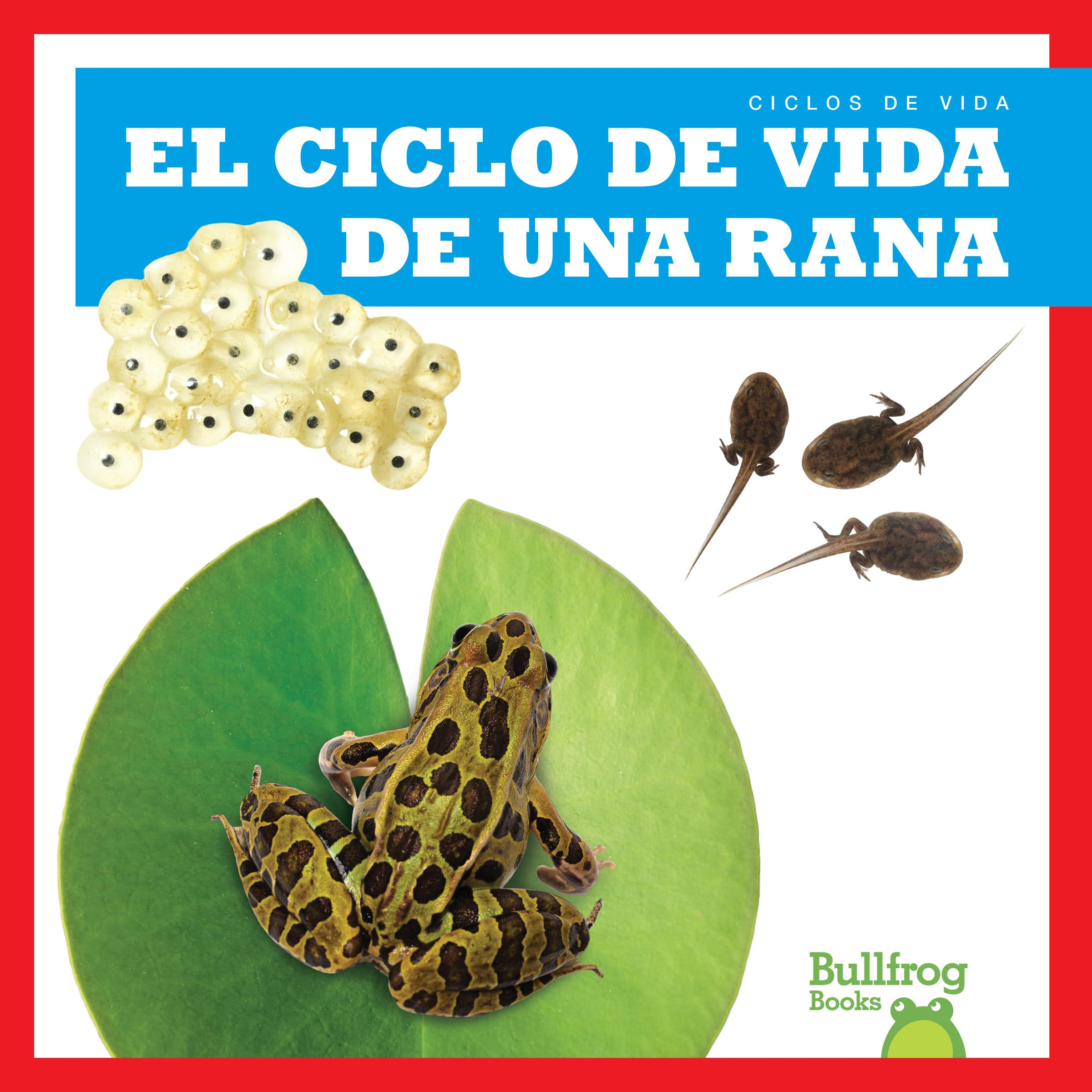 El ciclo de vida de una rana/ A Frog's Life Cycle (Ciclos de vida/ Life Cycles) Novels & Short Stories