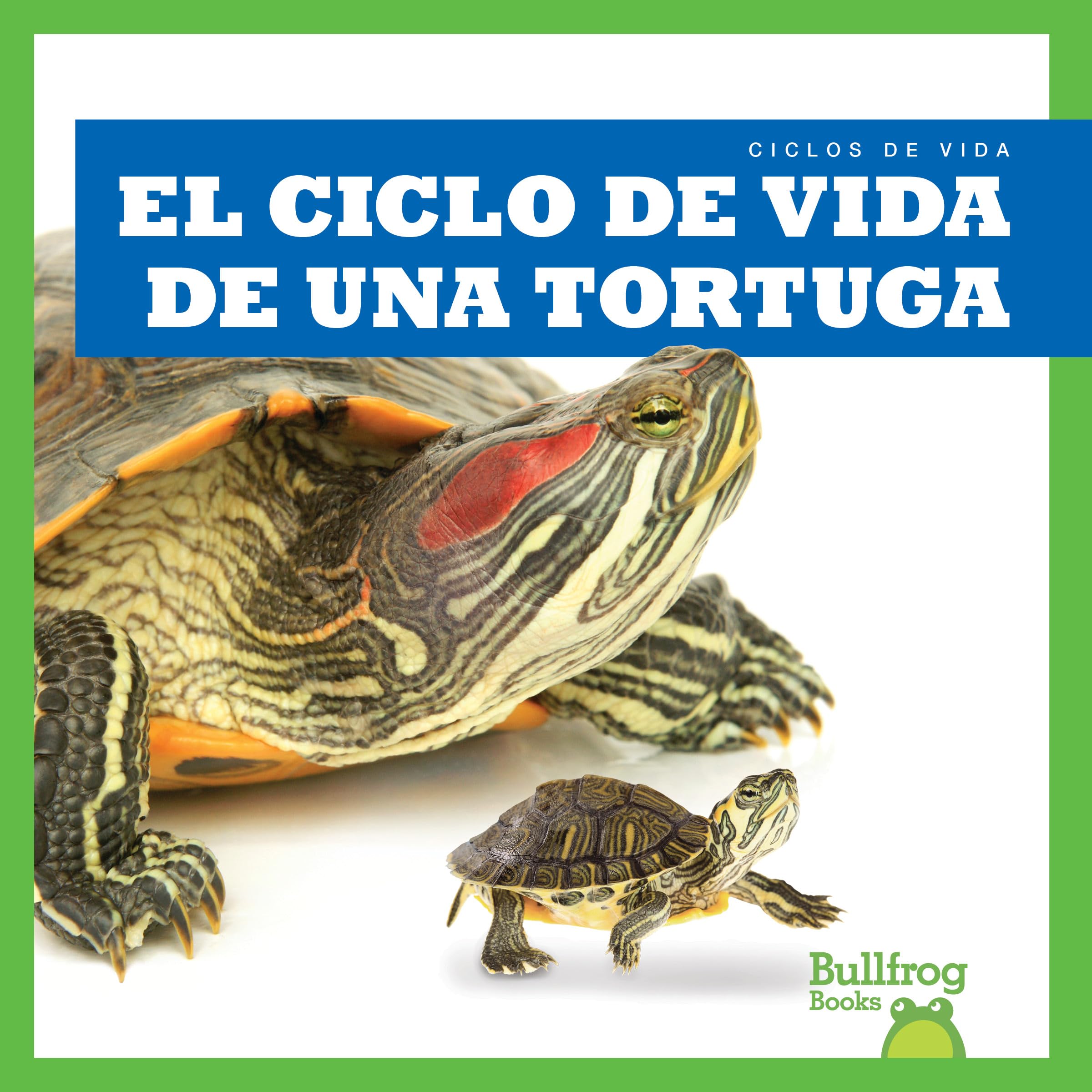 El ciclo de vida de una tortuga/ A Turtle's Life Cycle (Ciclos de vida/ Life Cycles) Novels & Short Stories
