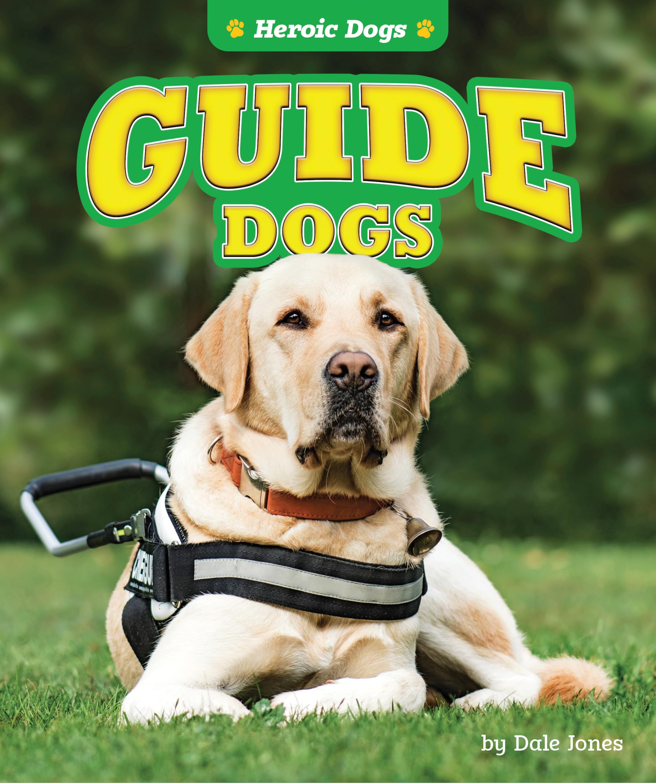 Product Image: Guide Dogs