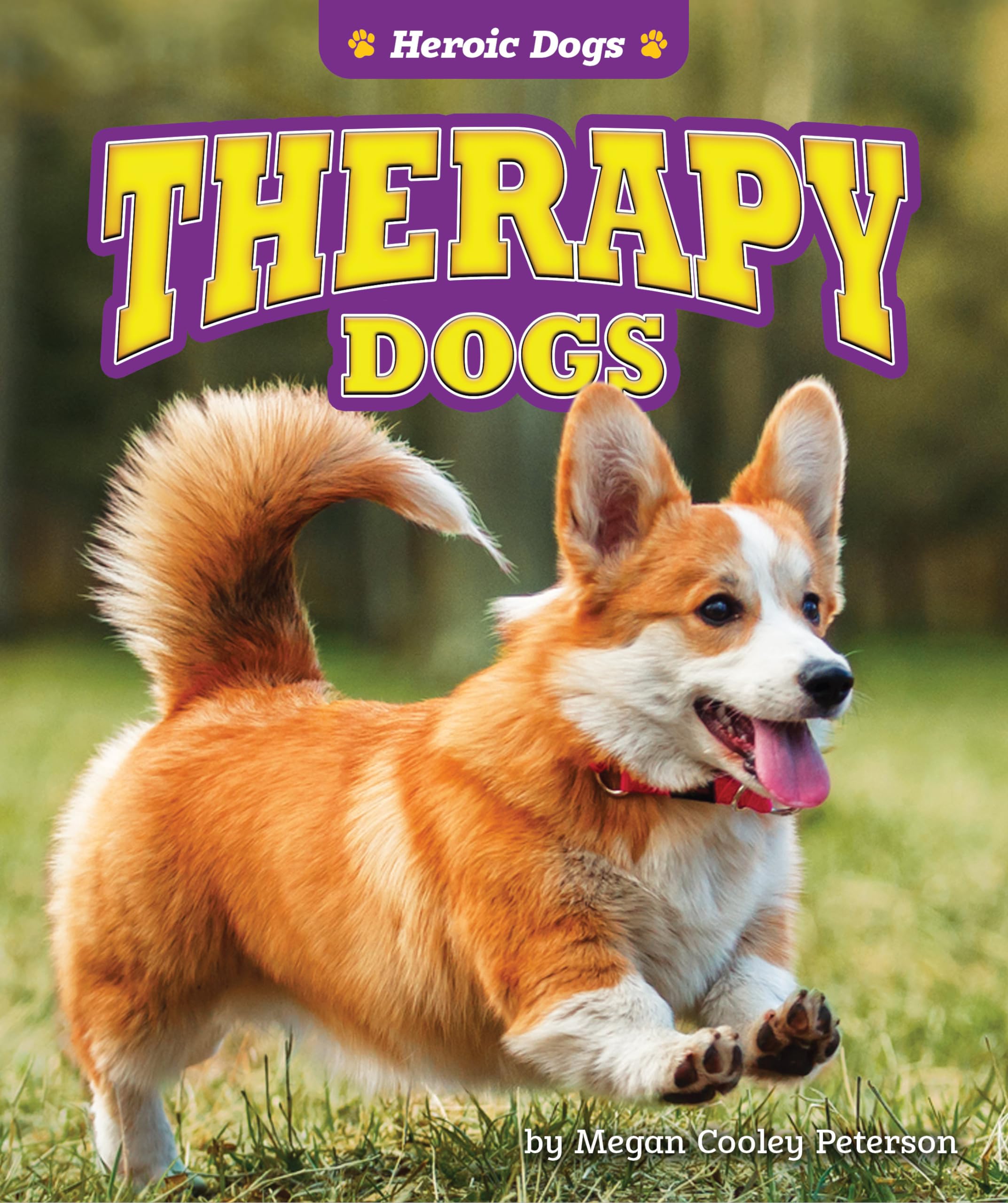 Therapy Dogs (Heroic Dogs) Non-fiction