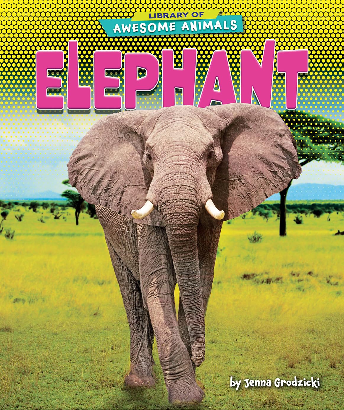 Elephant (Library of Awesome Animals) Novels & Short Stories