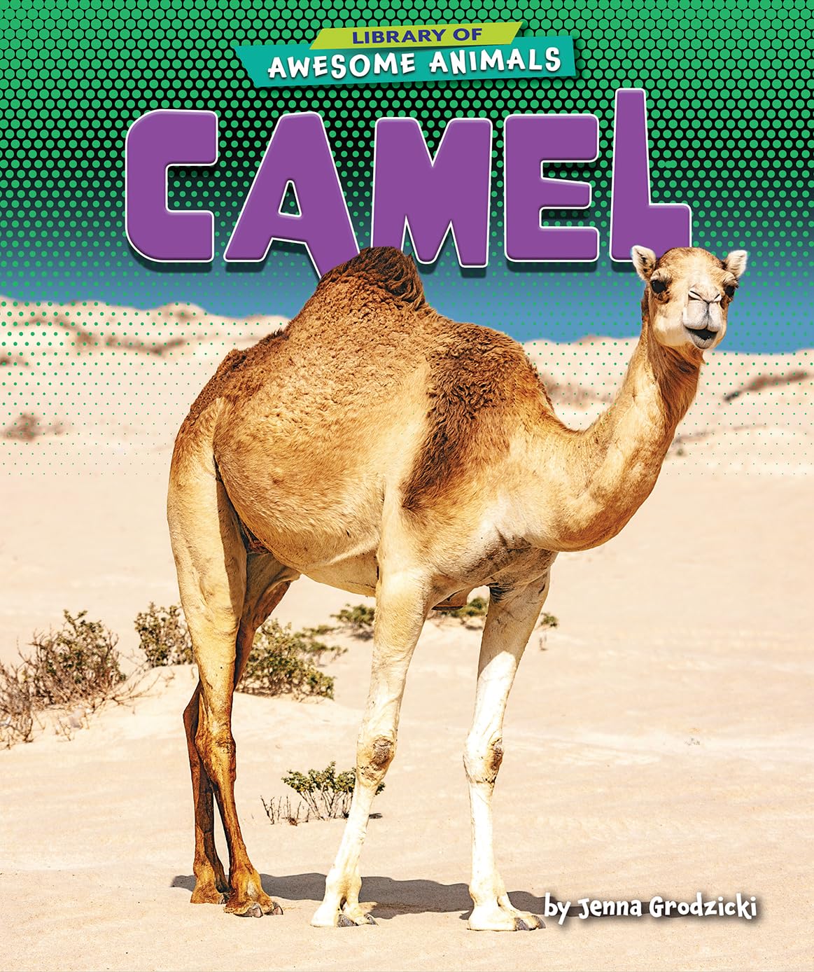 Product Image: Camel