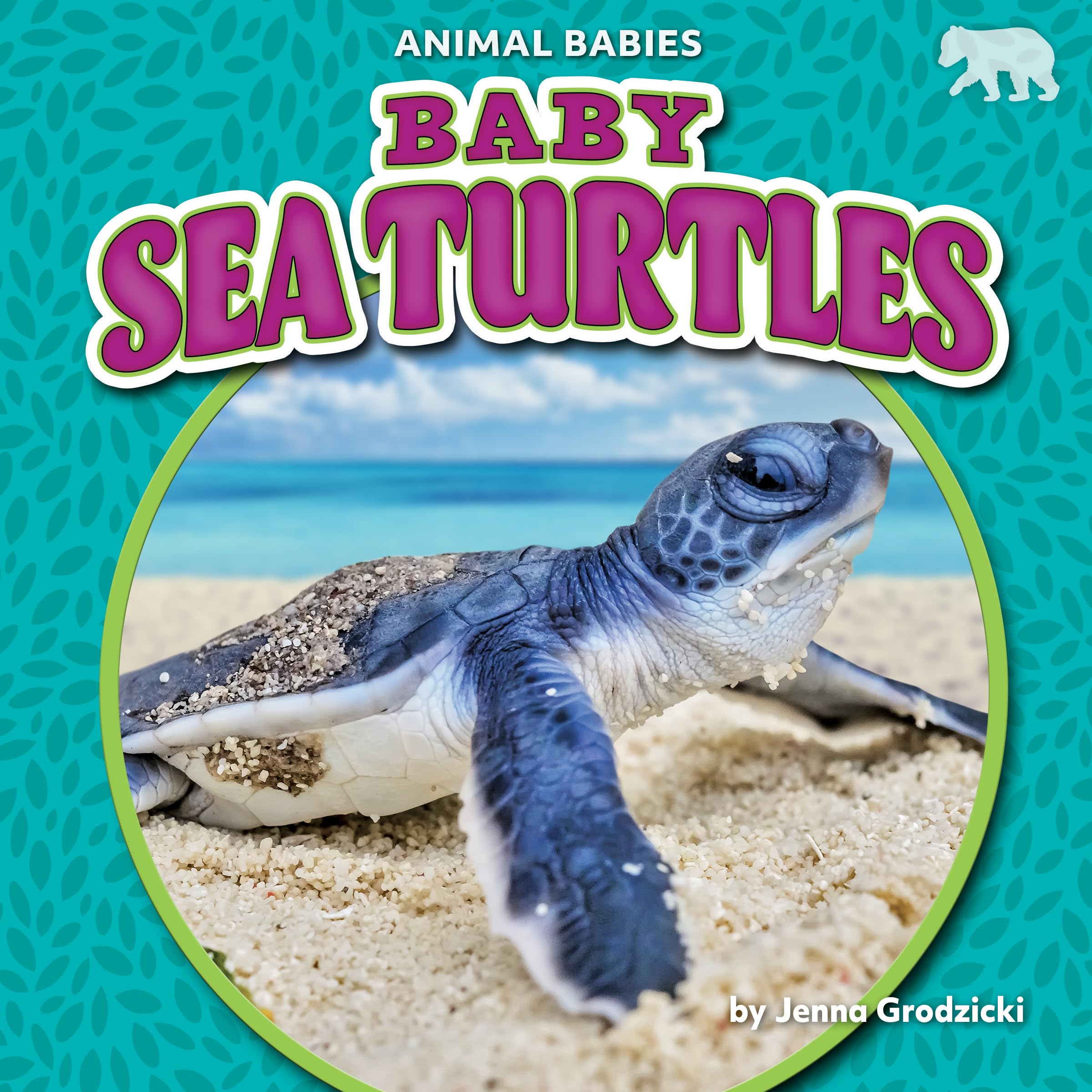 Baby Sea Turtles (Animal Babies) Mathematics