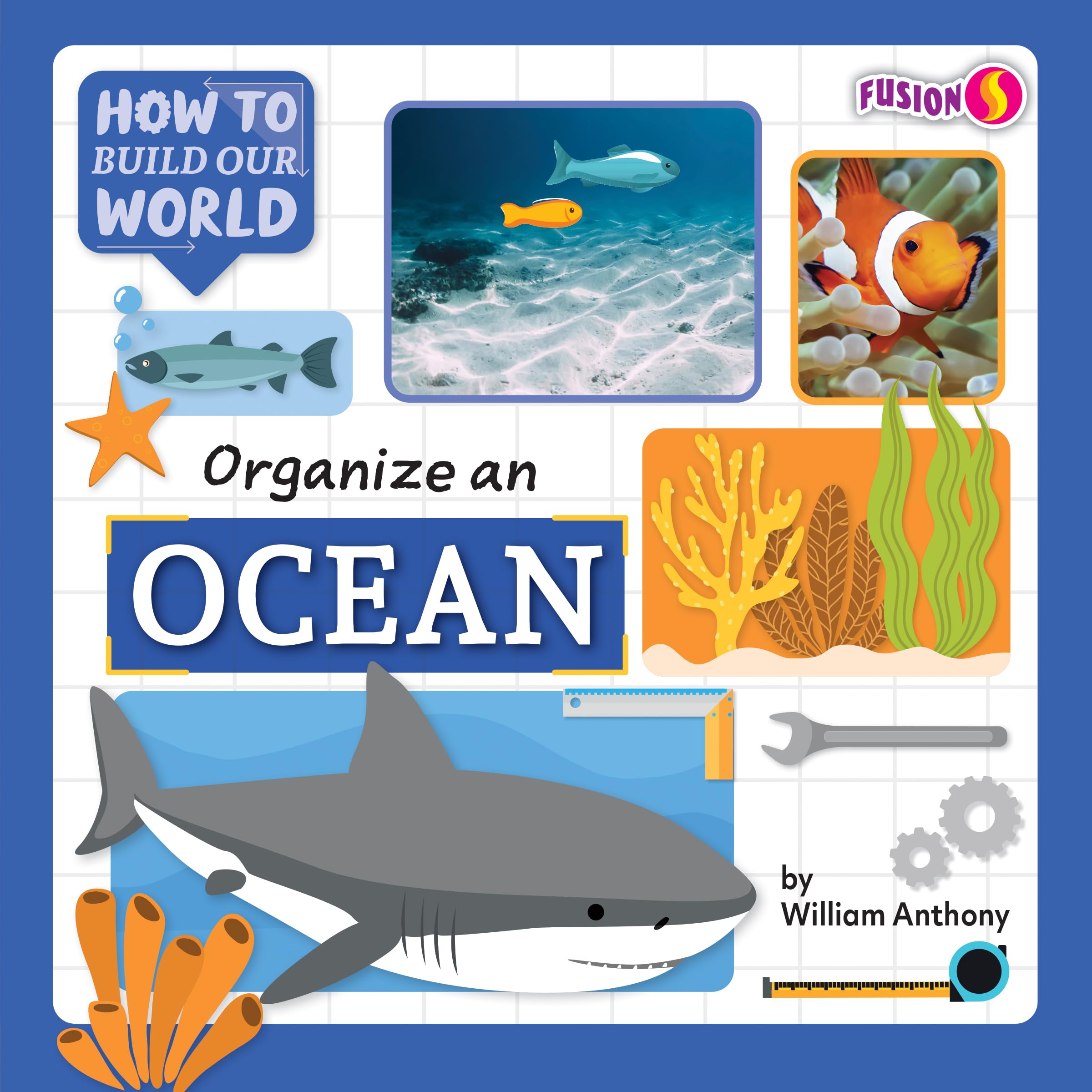 Organize an Ocean (How to Build Our World) Non-fiction