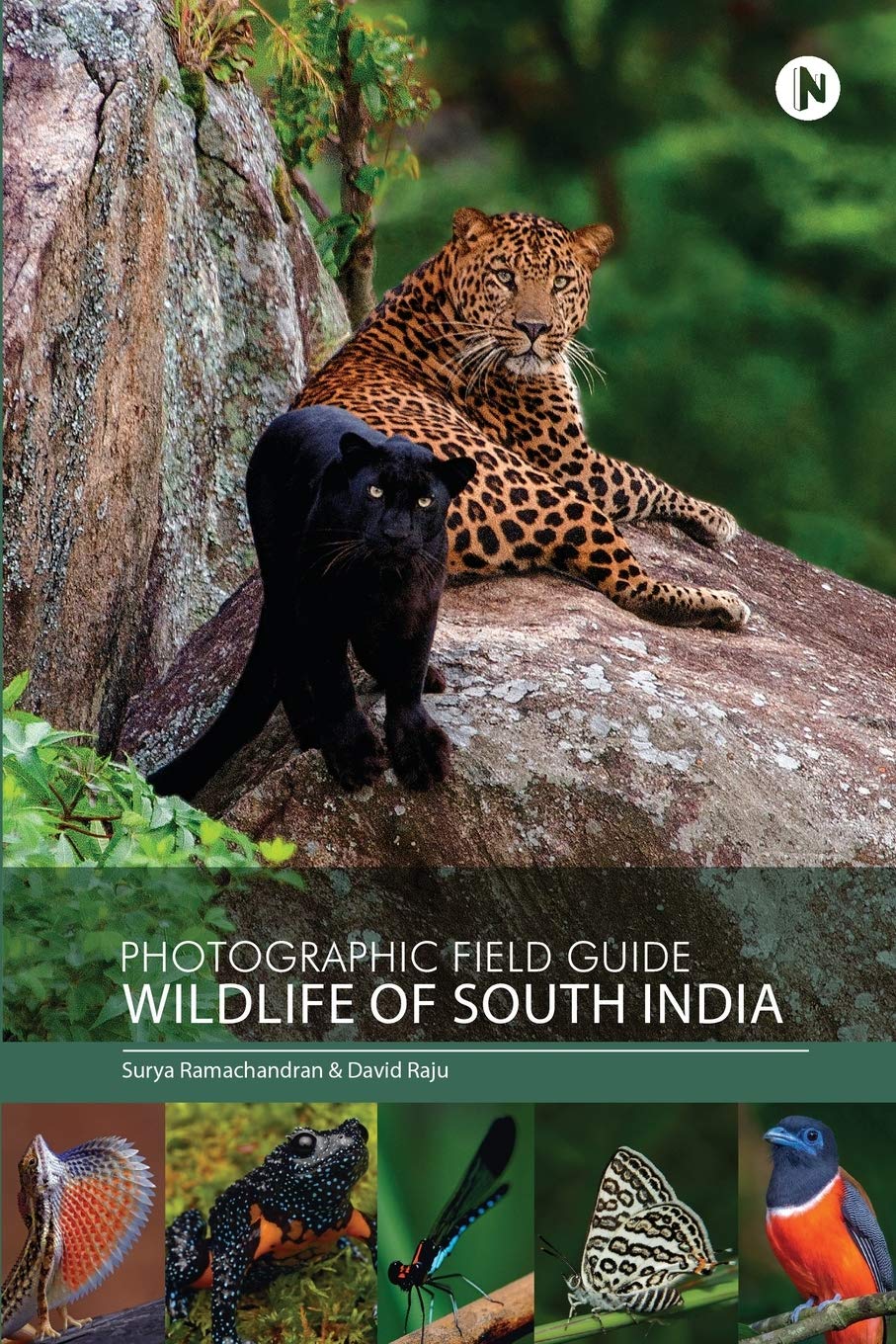Photographic Field Guide - Wildlife of South India Nature & Animals