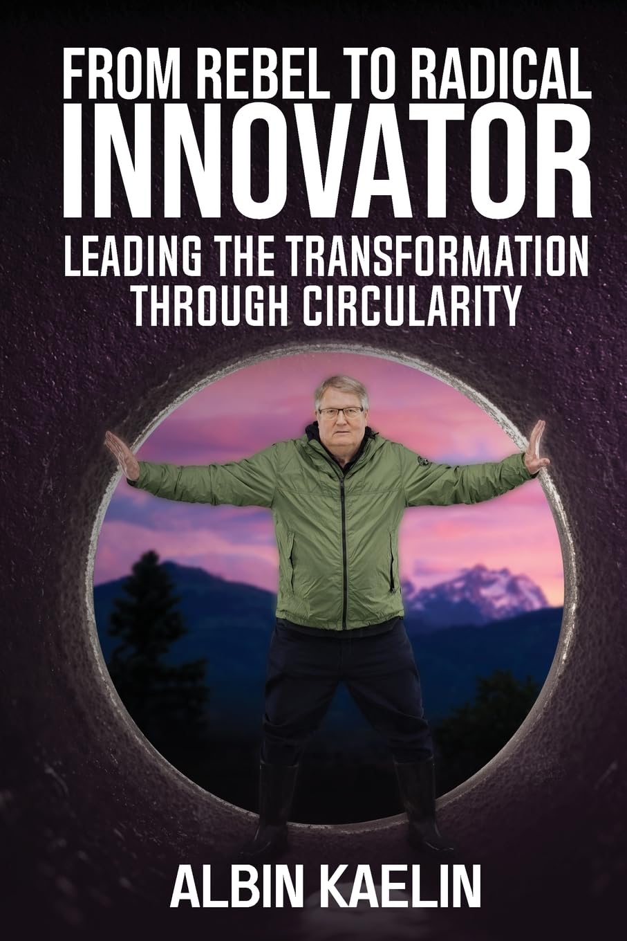 From Rebel to Radical Innovator Business, Finance & Career