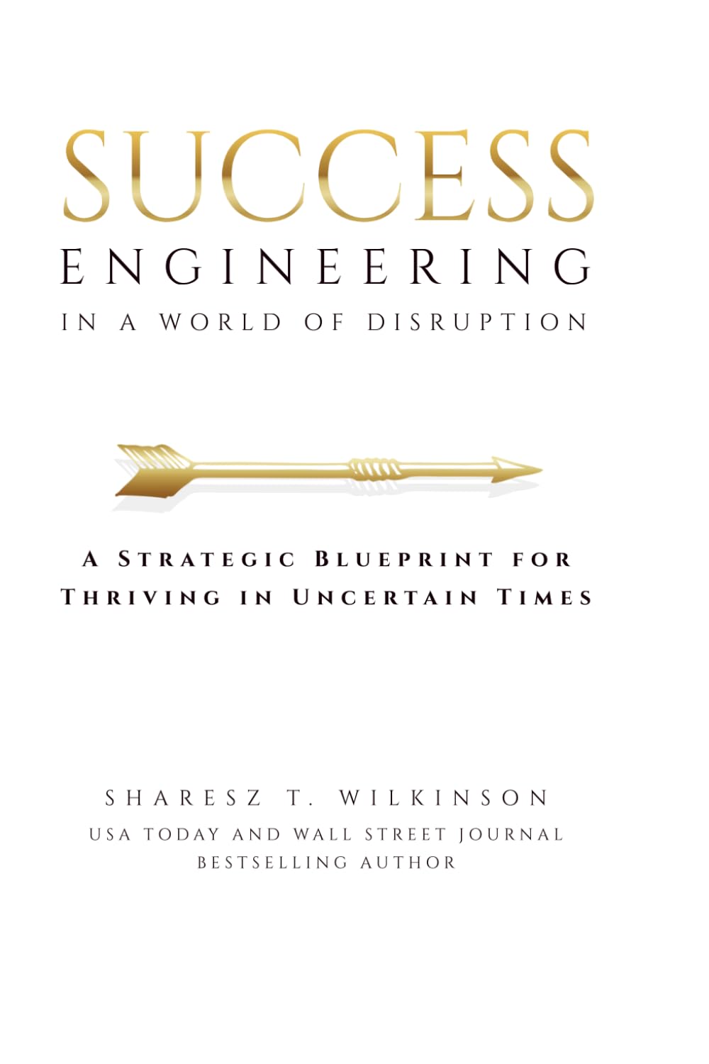 Success Engineering in a World of Disruption Law