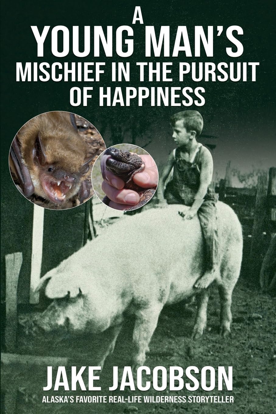 A Young Man's Mischief in the Pursuit of Happiness Leisure & Fun