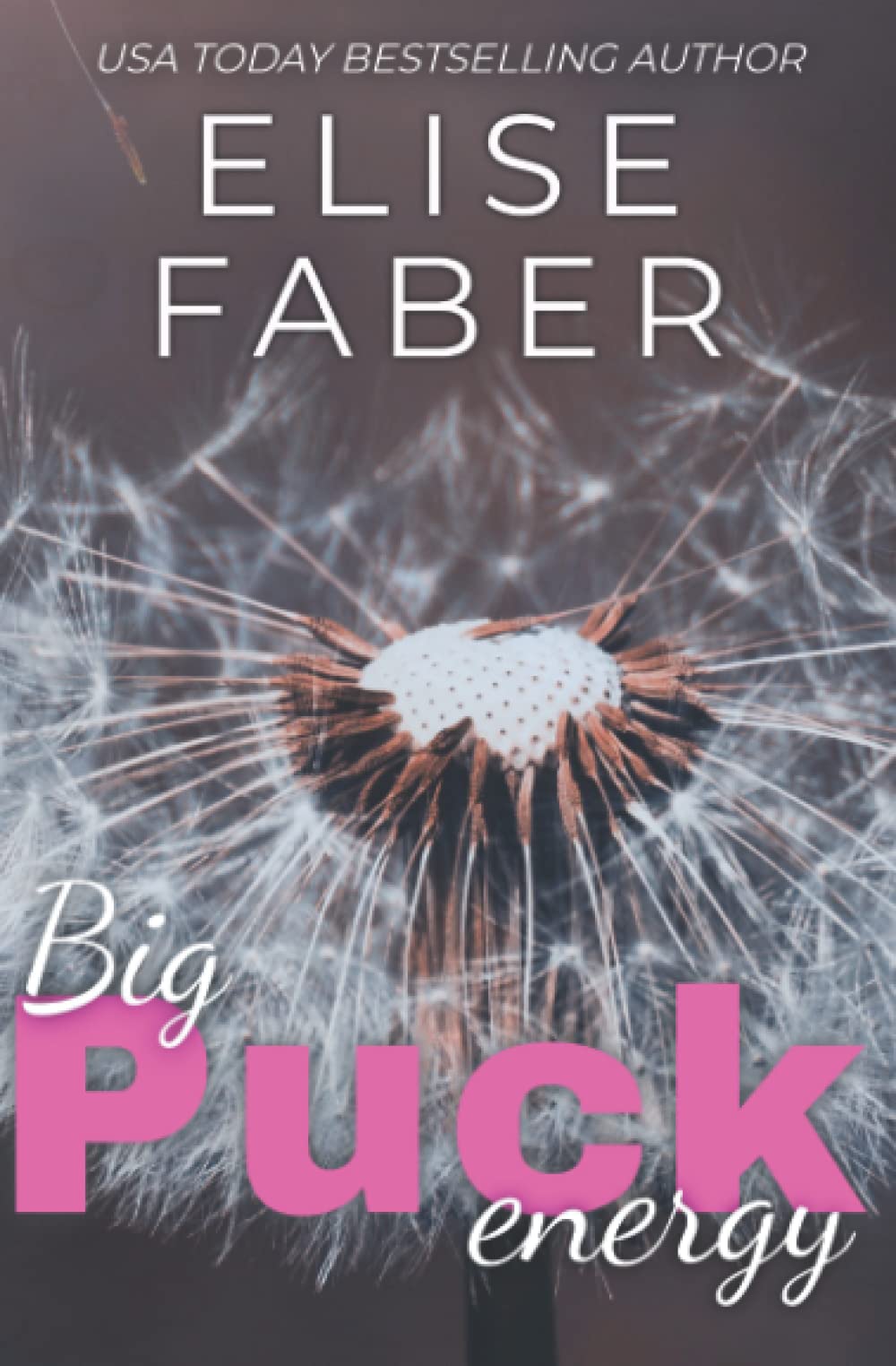 Big Puck Energy: Rush Hockey Trilogy Book 1 Contemporary literature