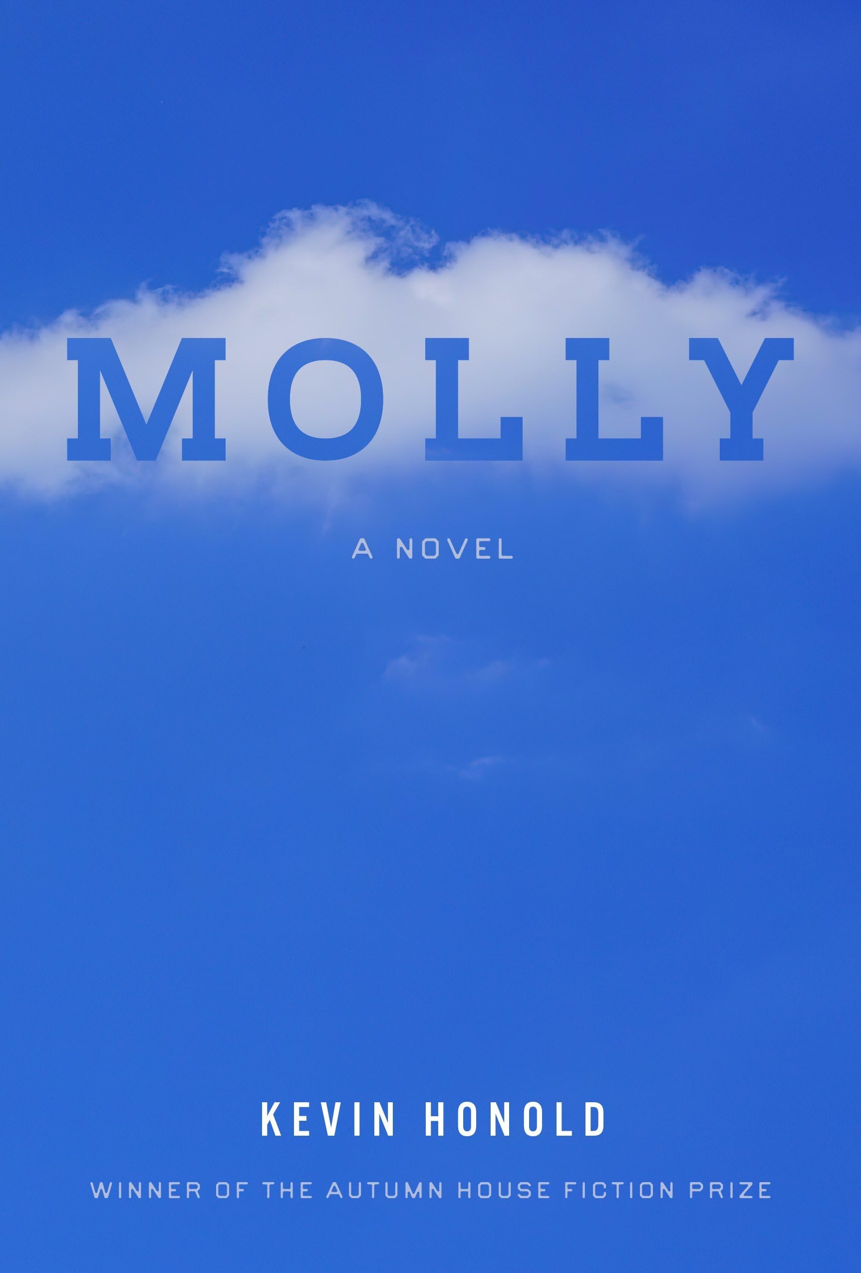 Molly (Autumn House Press Fiction Prize) Contemporary literature