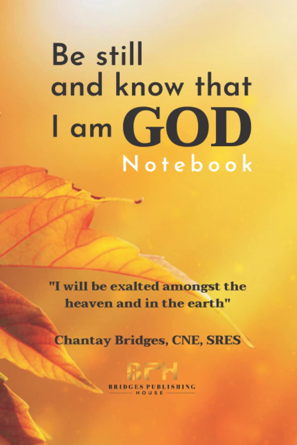 BE STILL AND KNOW THAT I AM GOD: "I will be exalted amongst the heaven and in the earth" Religion & Esotericism