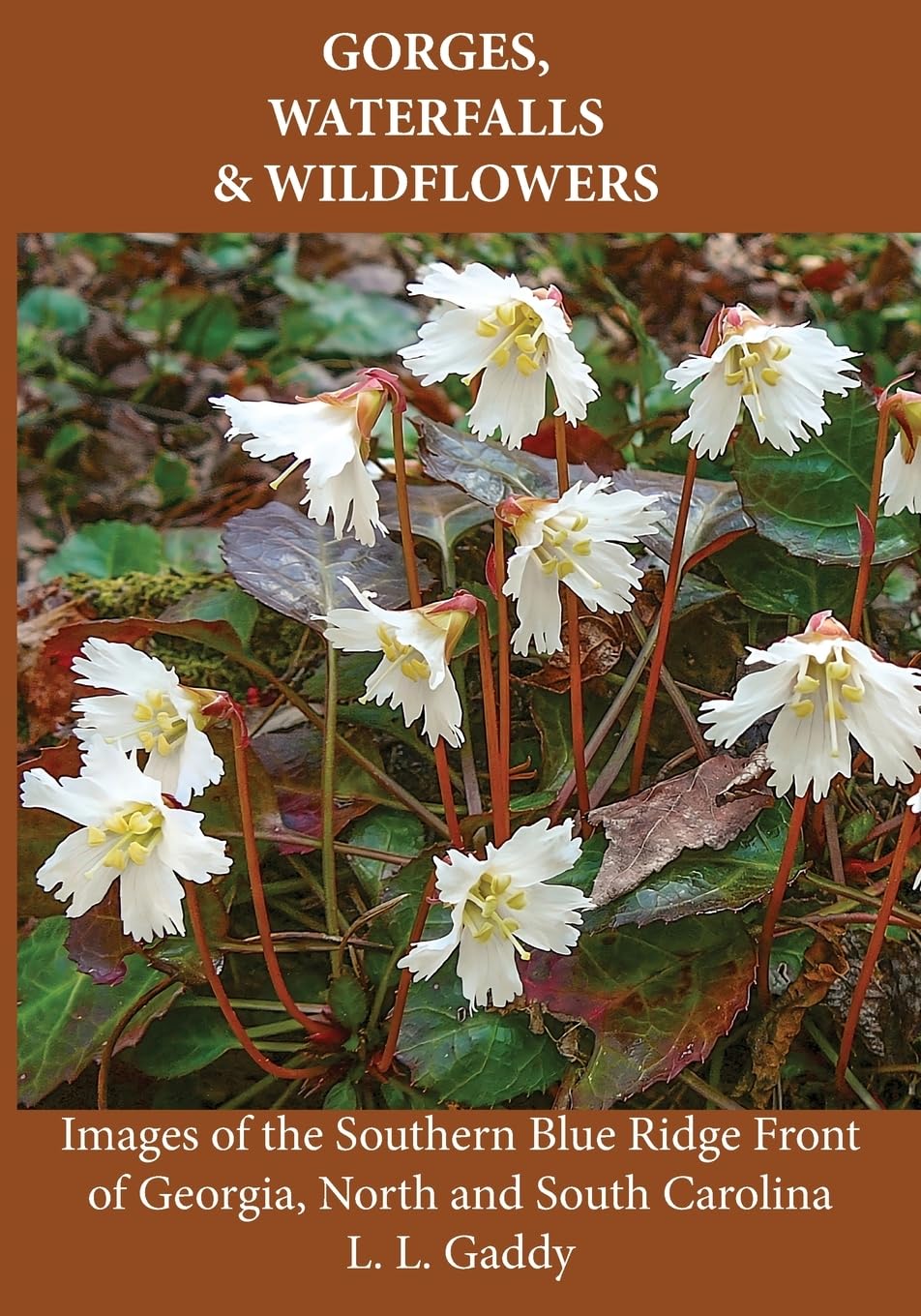 Gorges, Waterfalls, and Wildflowers Geology & Geography