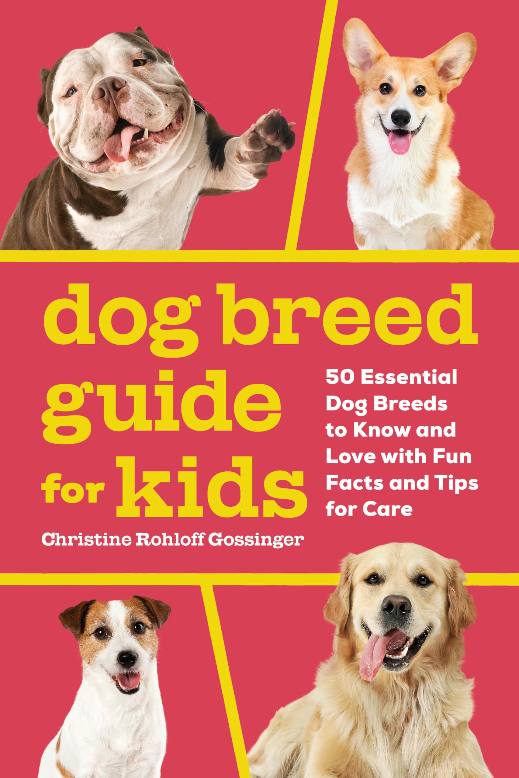 Dog Breed Guide for Kids Pets