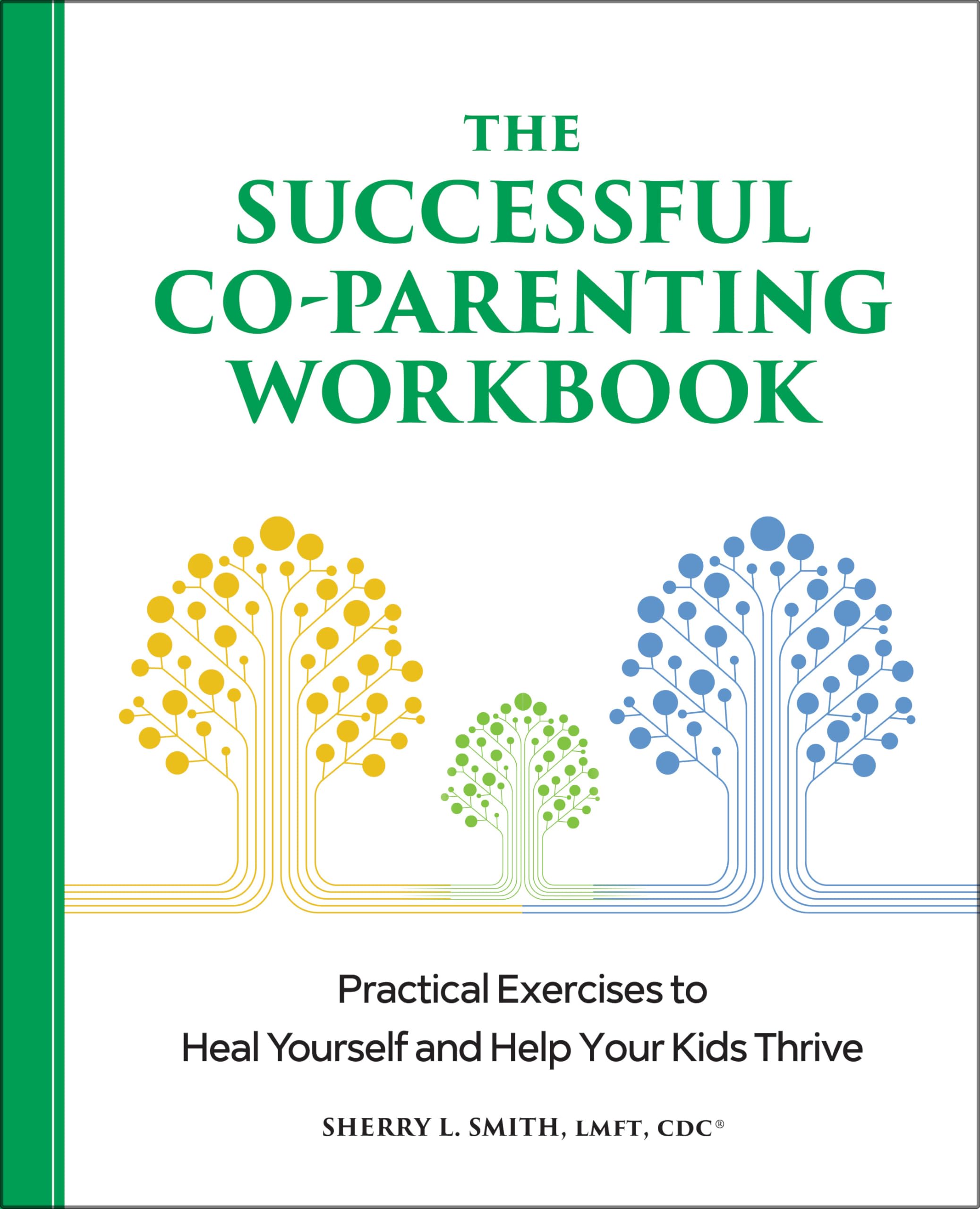 Product Image: The Successful Co-Parenting Workbook