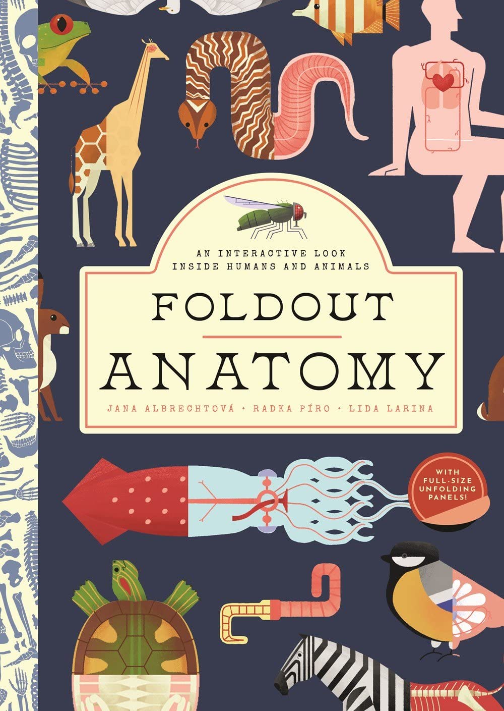 Foldout Anatomy: An Interactive Look Inside Humans and Animals Non-fiction