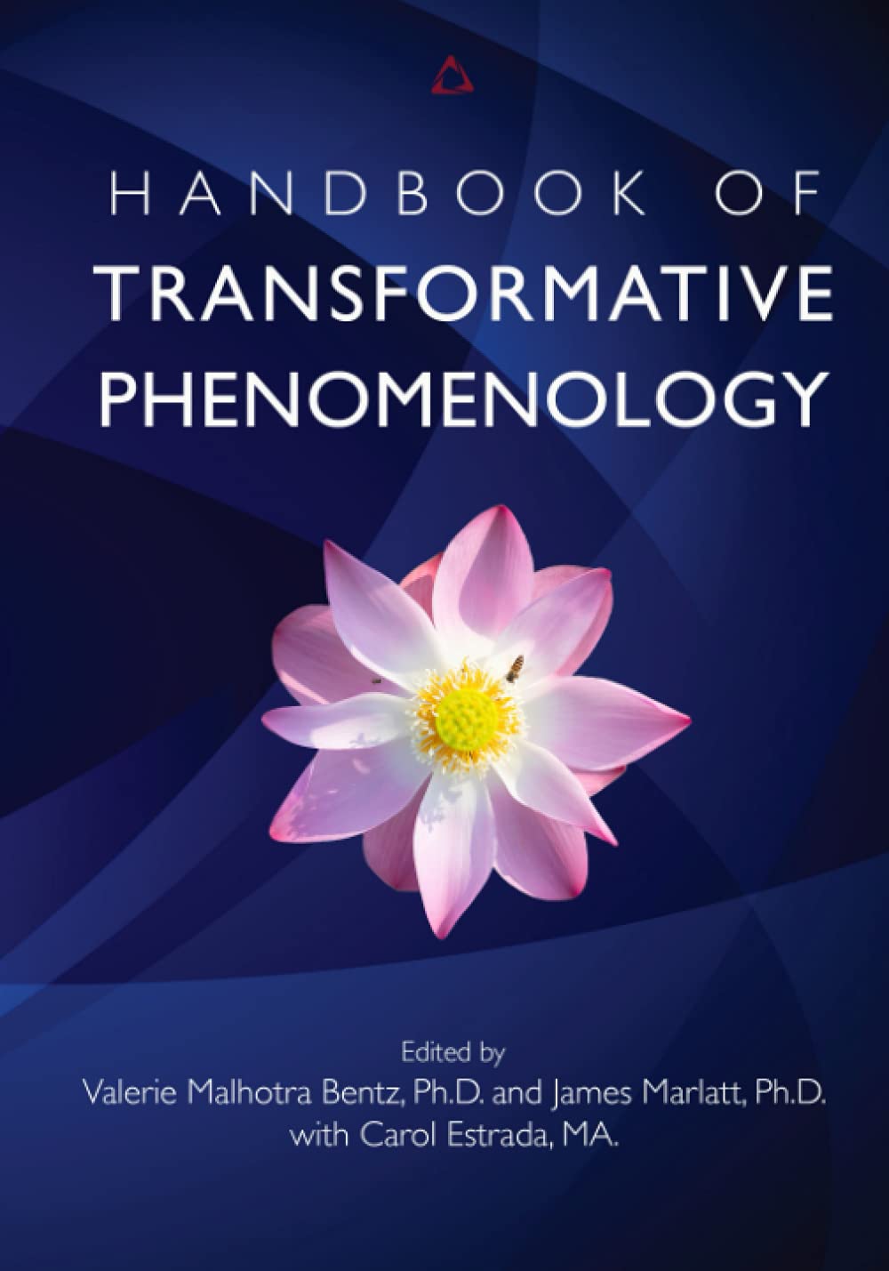 Handbook of Transformative Phenomenology book