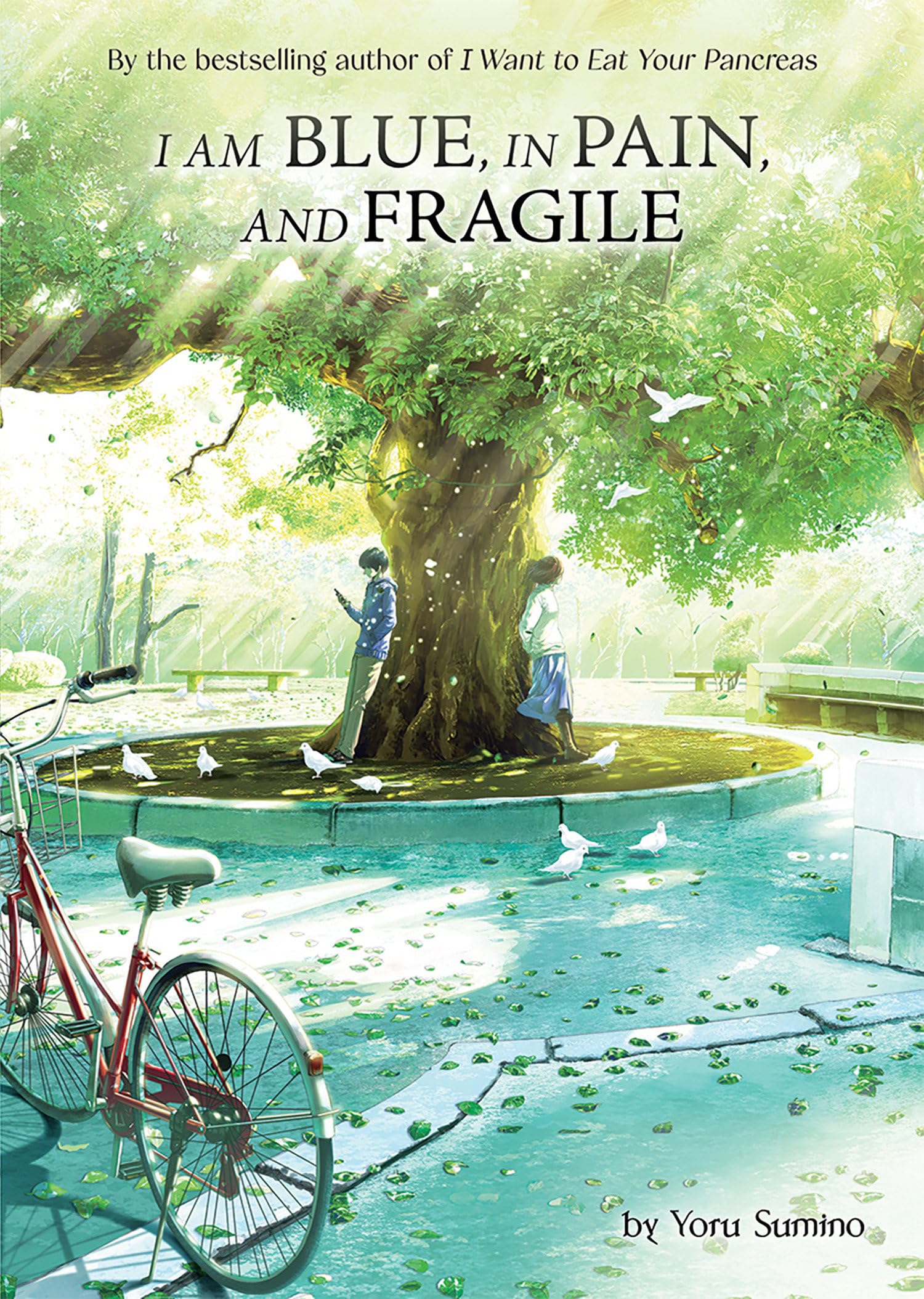 I Am Blue, in Pain, and Fragile (Light Novel) Contemporary literature