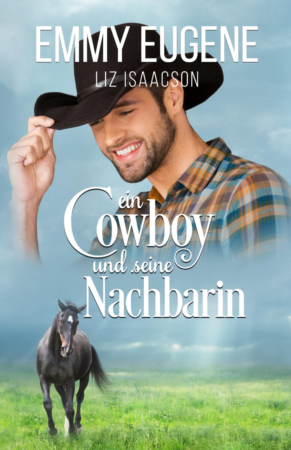 Ein Cowboy und seine Nachbarin: Ein Johnson Brothers-Liebesroman book