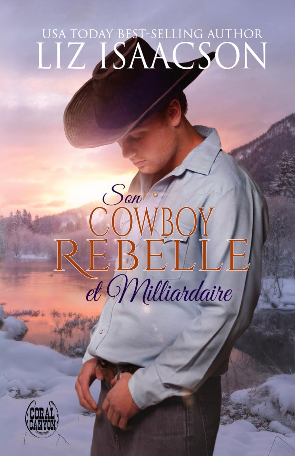 Son Cowboy Rebelle et Milliardaire: Un Roman des Frères Hammond book