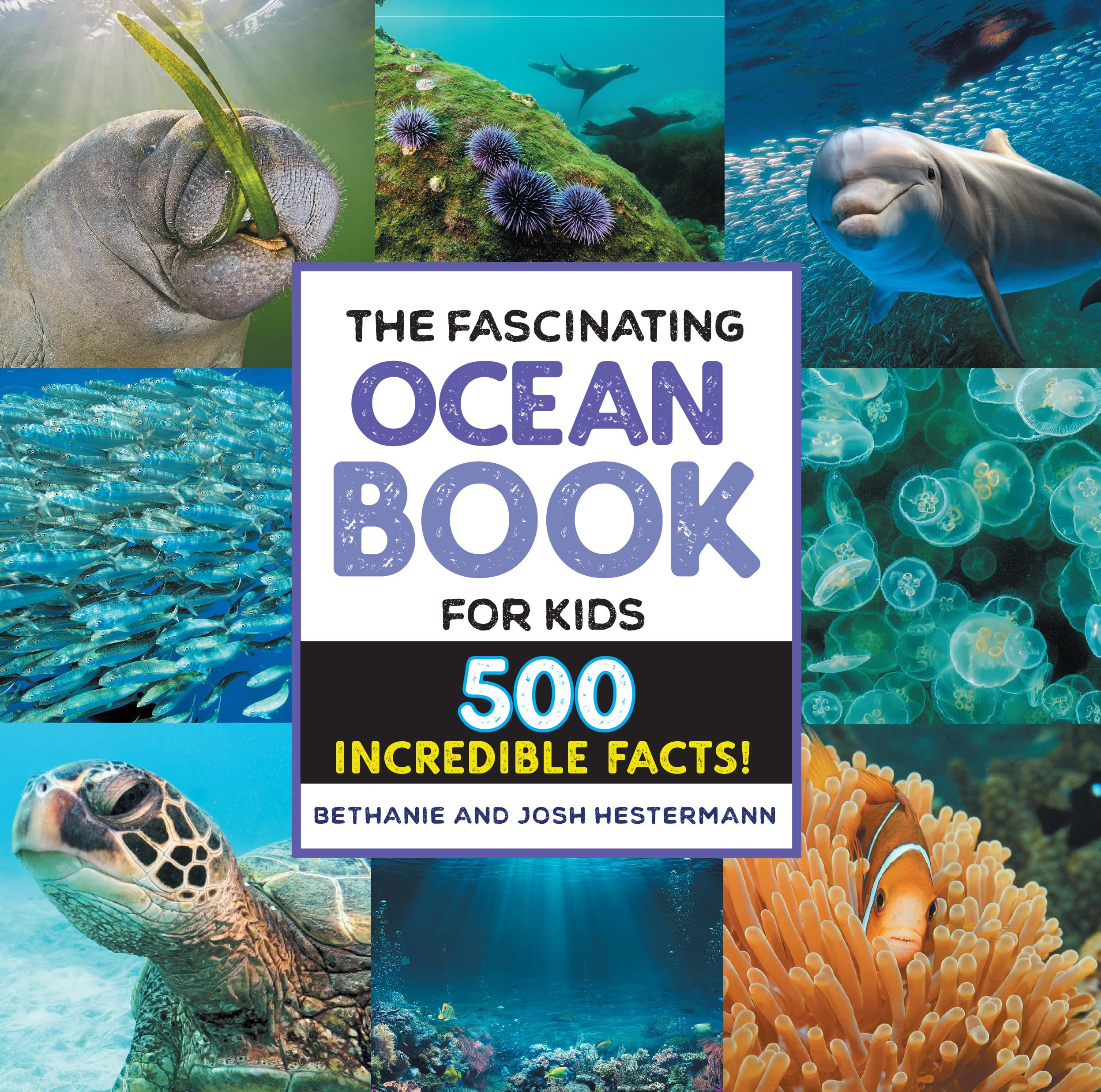 The Fascinating Ocean Book for Kids Tiptoi & Games