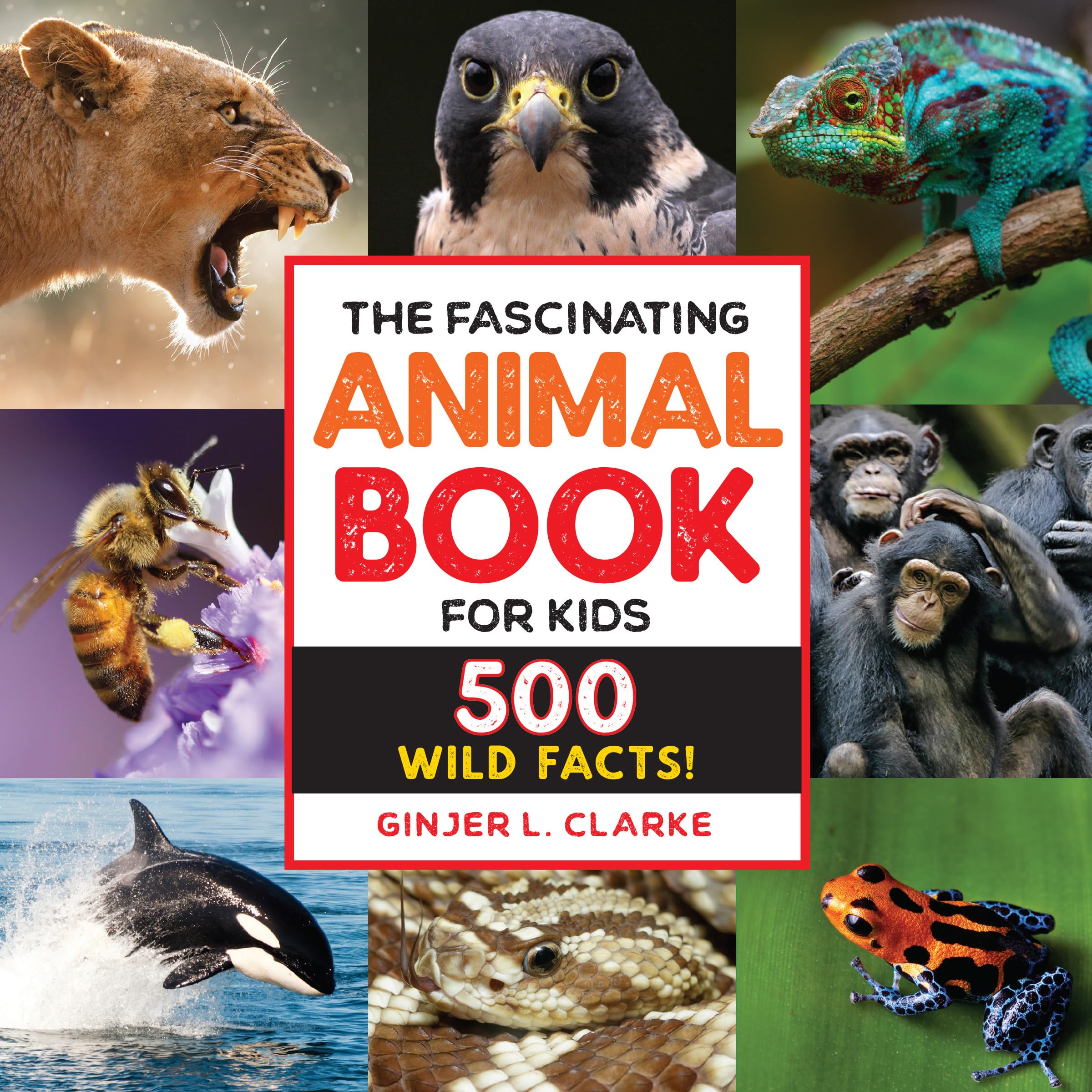 The Fascinating Animal Book for Kids Parents & Children