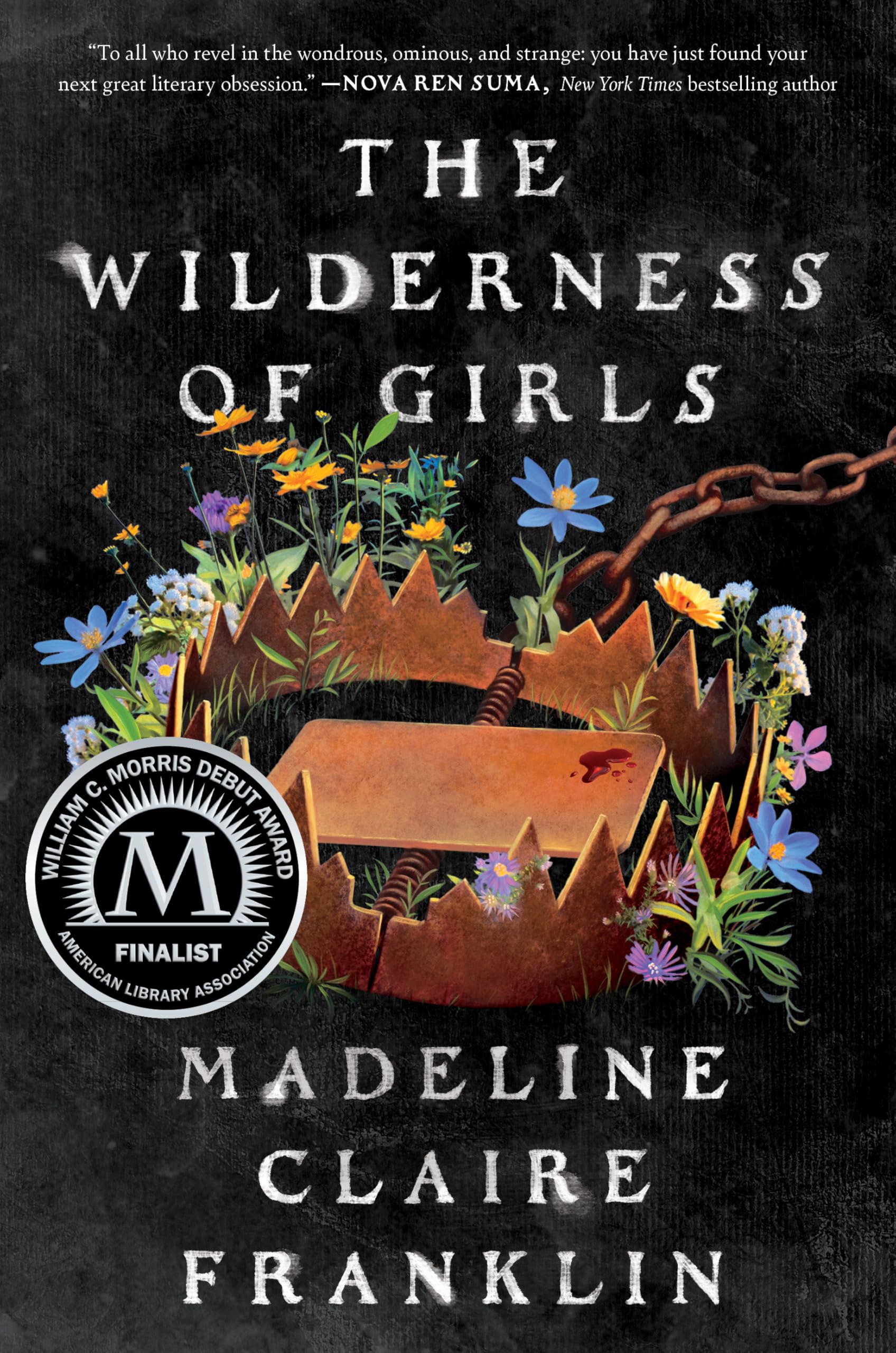 The Wilderness of Girls Contemporary literature