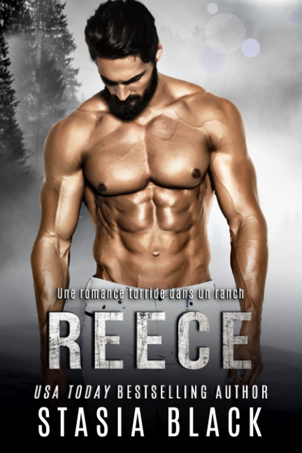 Reece (Le ranch des mecs, Band 4) Contemporary Romance