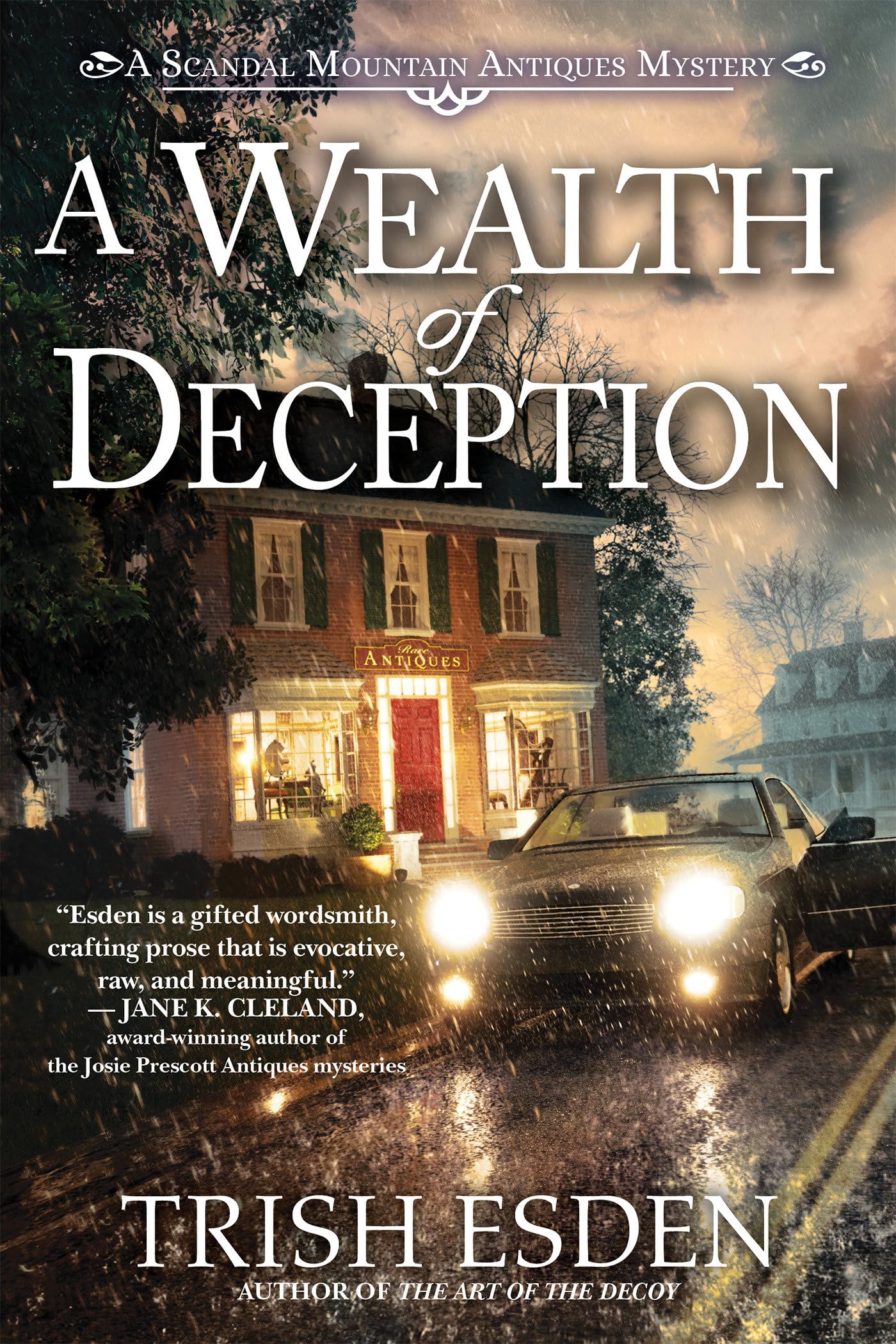 A Wealth of Deception (A Scandal Mountain Antiques Mystery, Band 2) Contemporary literature