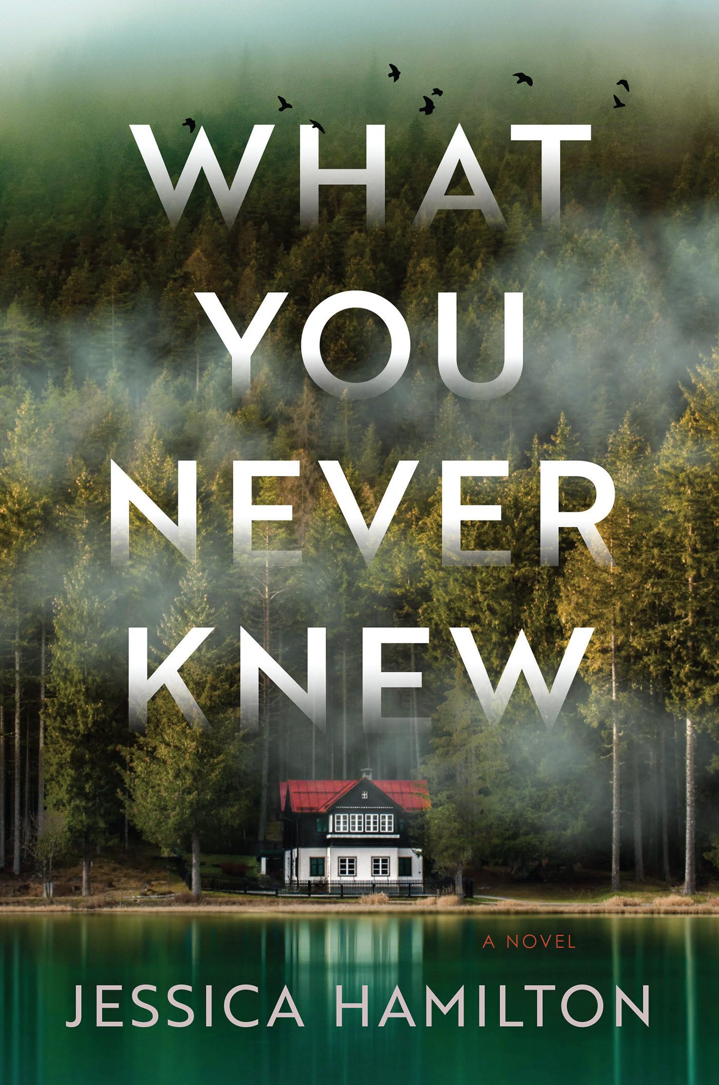 What You Never Knew: A Novel Contemporary literature