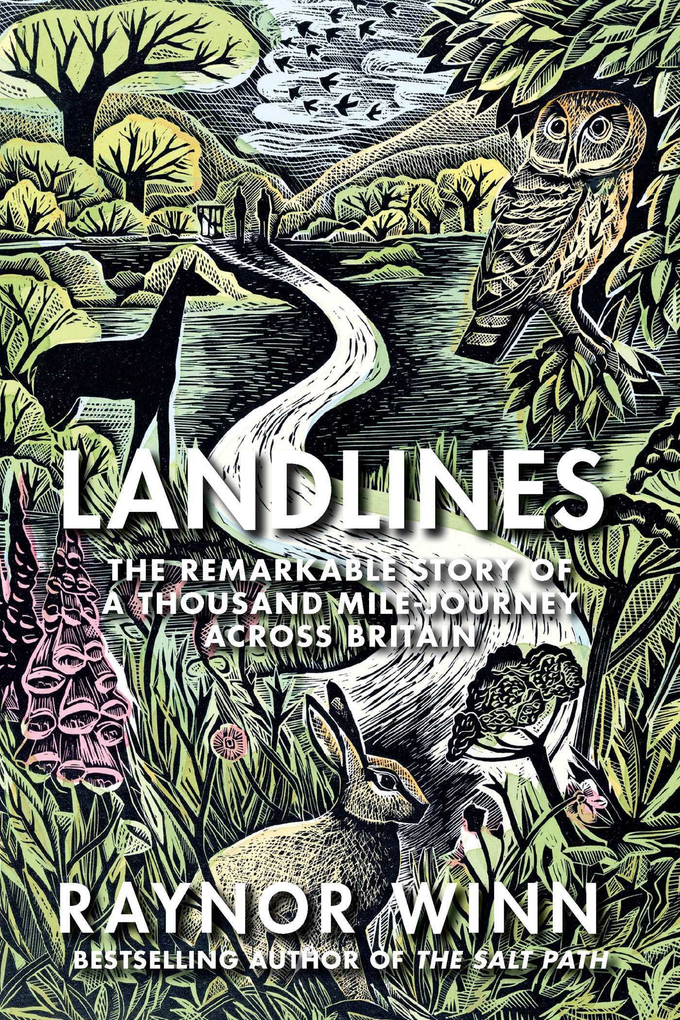 Landlines: The Remarkable Story of a Thousand-Mile Journey Across Britain Mathematics