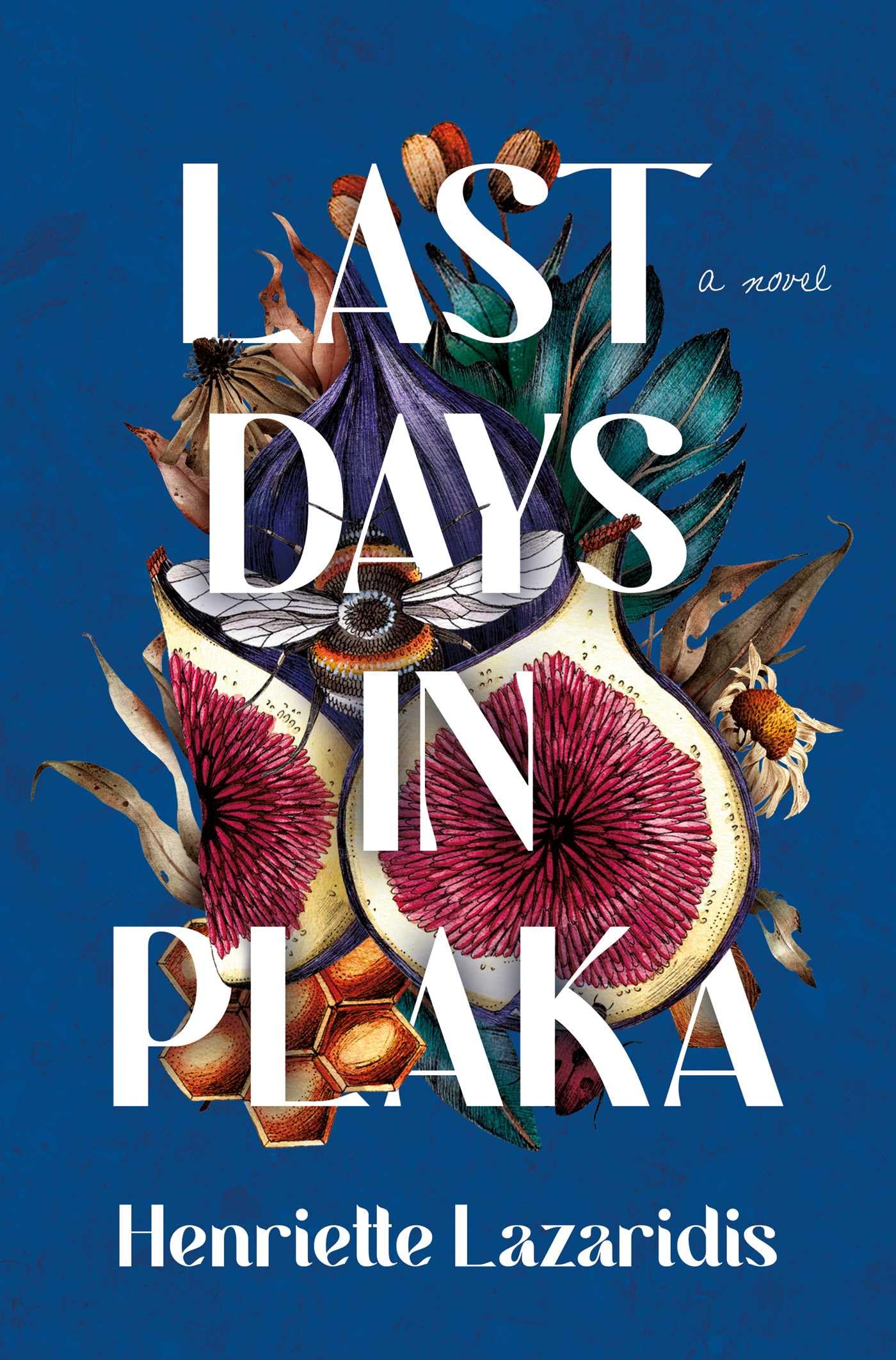 Last Days in Plaka: A Novel Contemporary literature