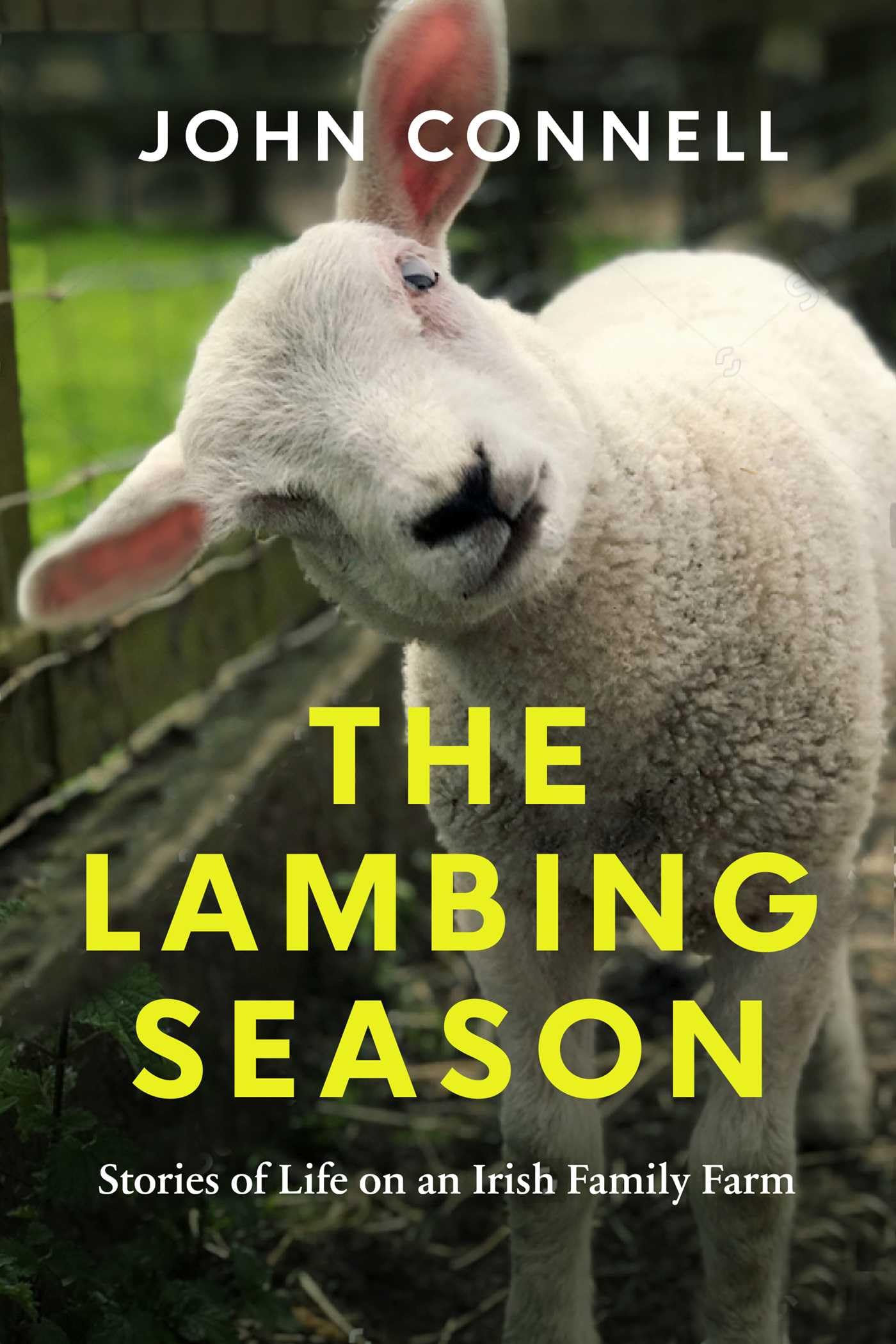 The Lambing Season: Stories of Life on an Irish Family Farm Mathematics
