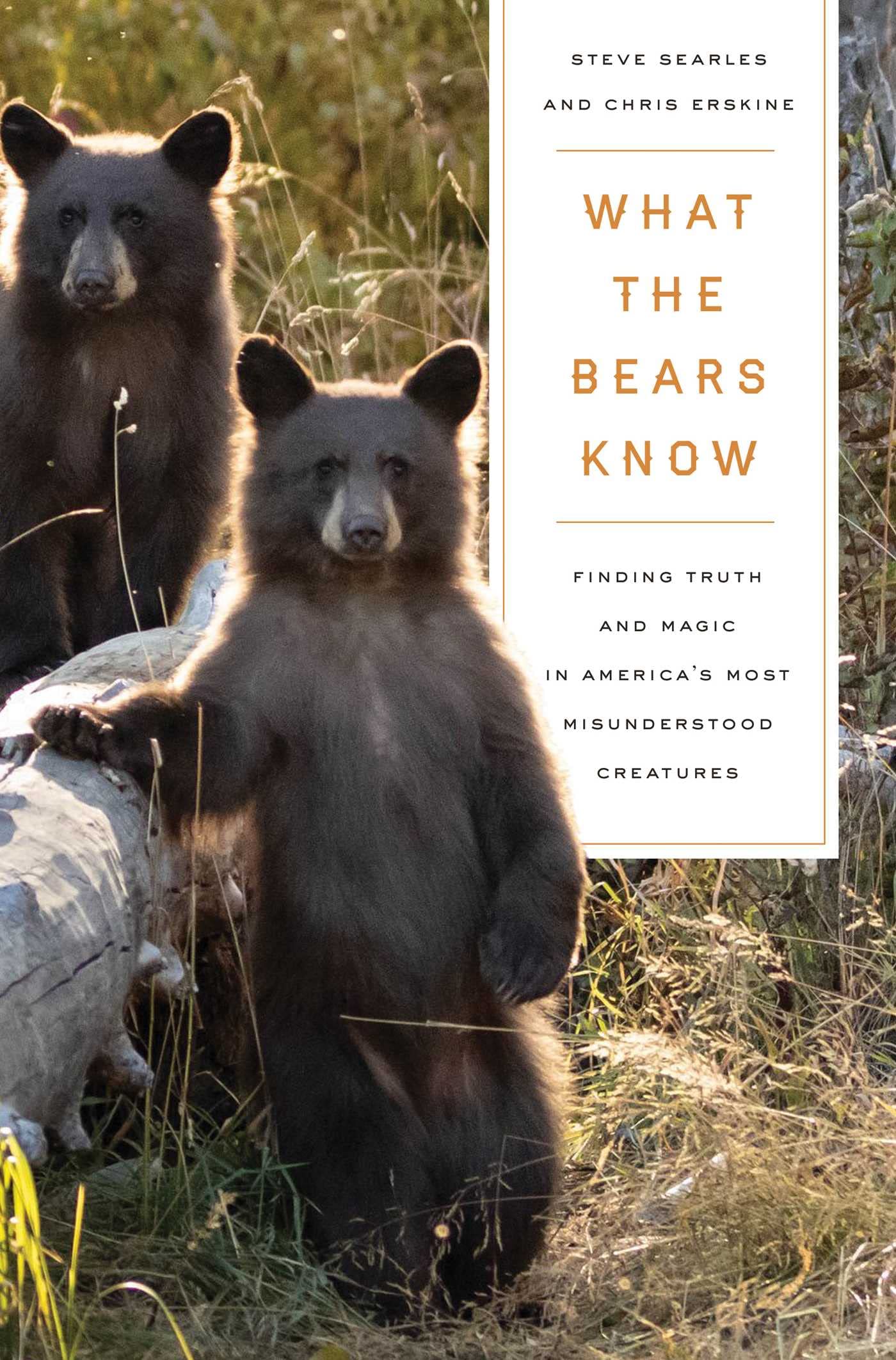 What the Bears Know: How I Found Truth and Magic in America's Most Misunderstood Creatures―A Memoir by Animal Planet's "The Bear Whisperer" Sports