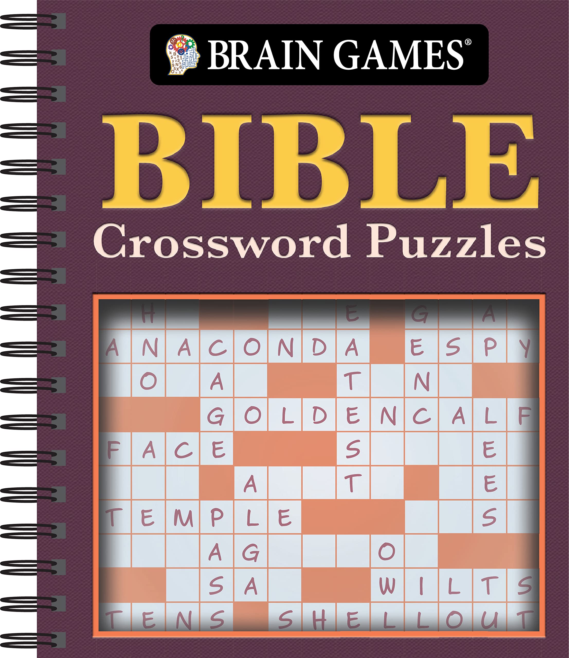 Brain Games - Bible Crossword Puzzles Leisure & Fun