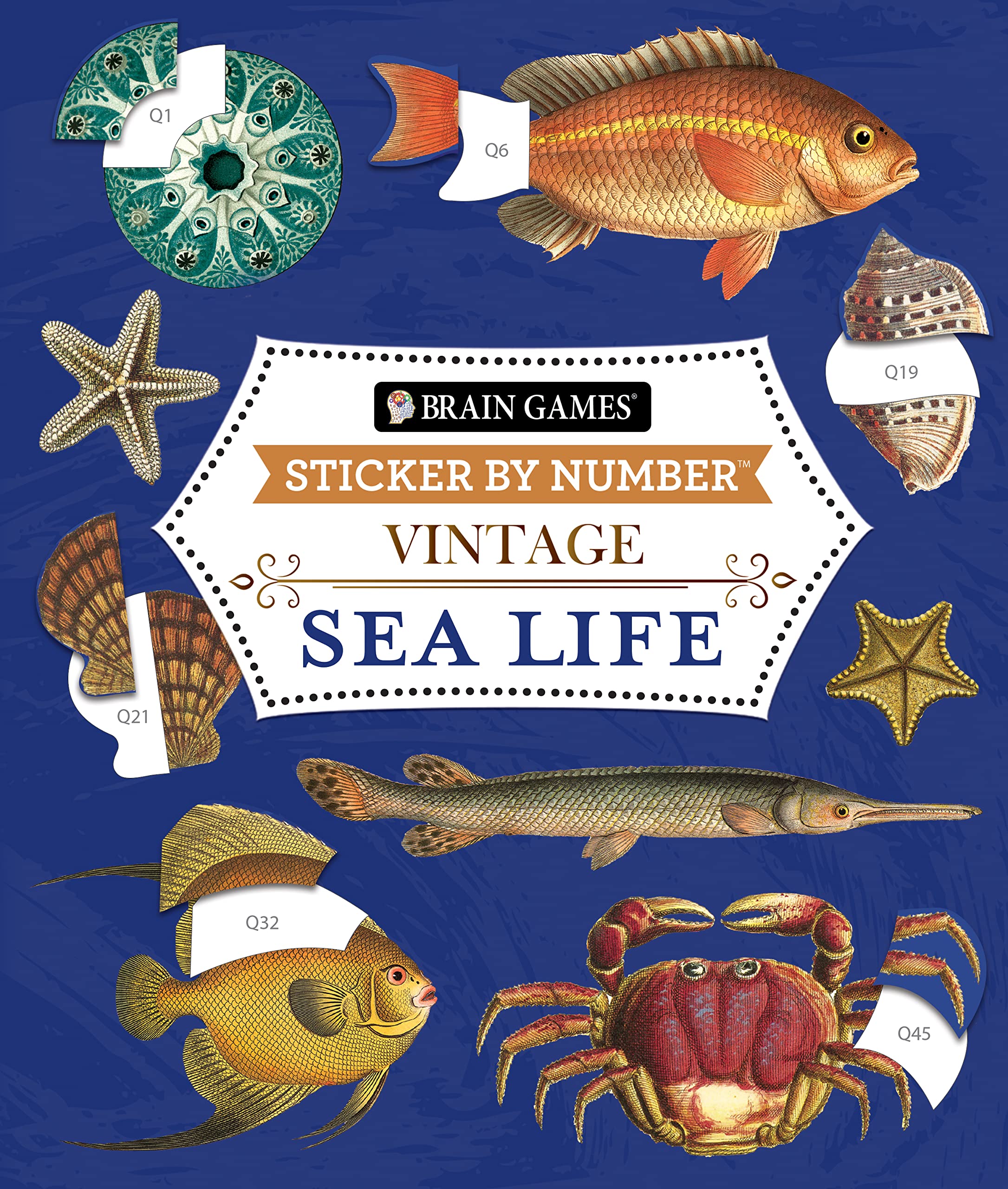 Brain Games - Sticker by Number - Vintage: Sea Life (28 Images to Sticker) Books