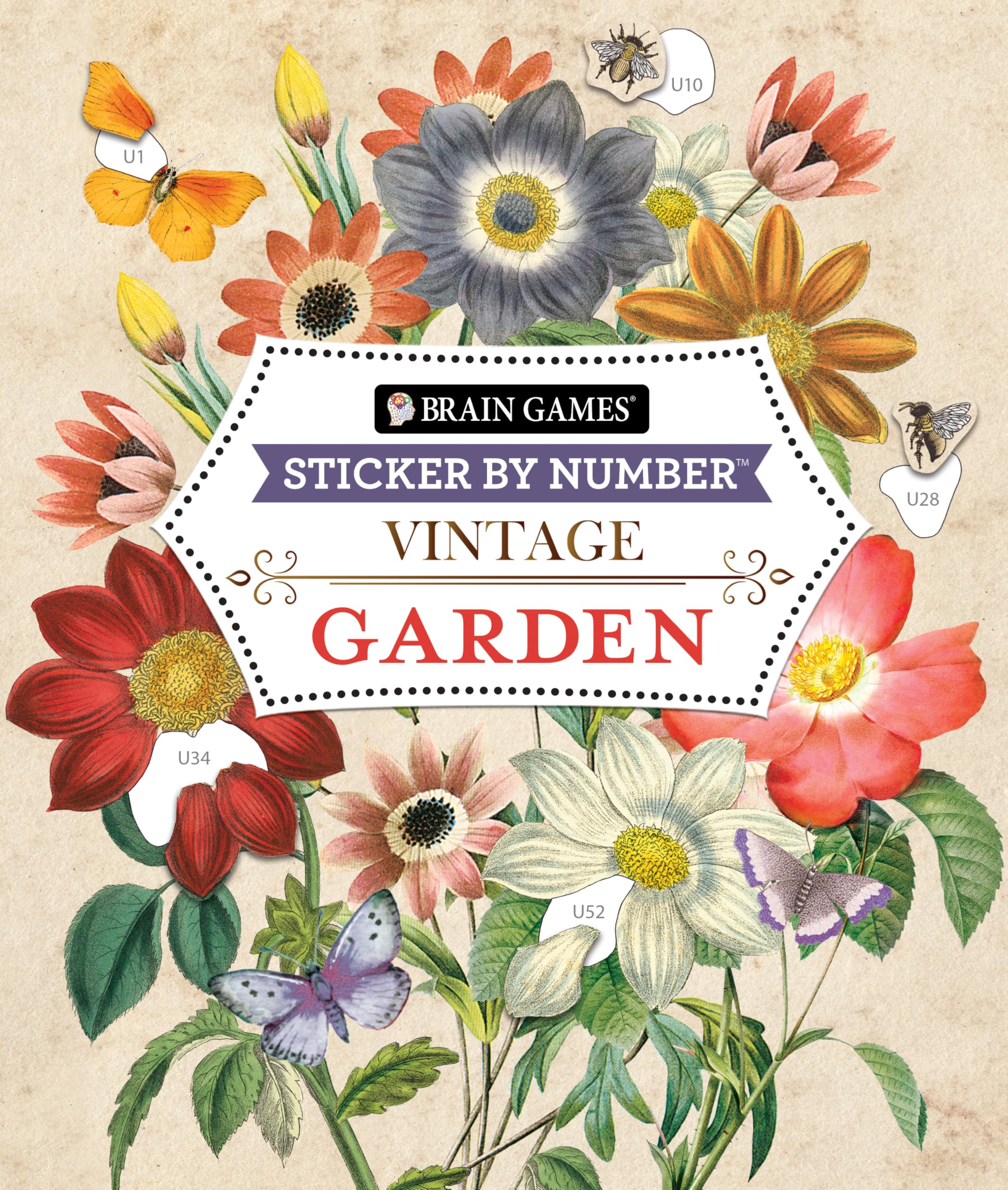 Brain Games - Sticker by Number - Vintage: Garden (28 Images to Sticker) Books