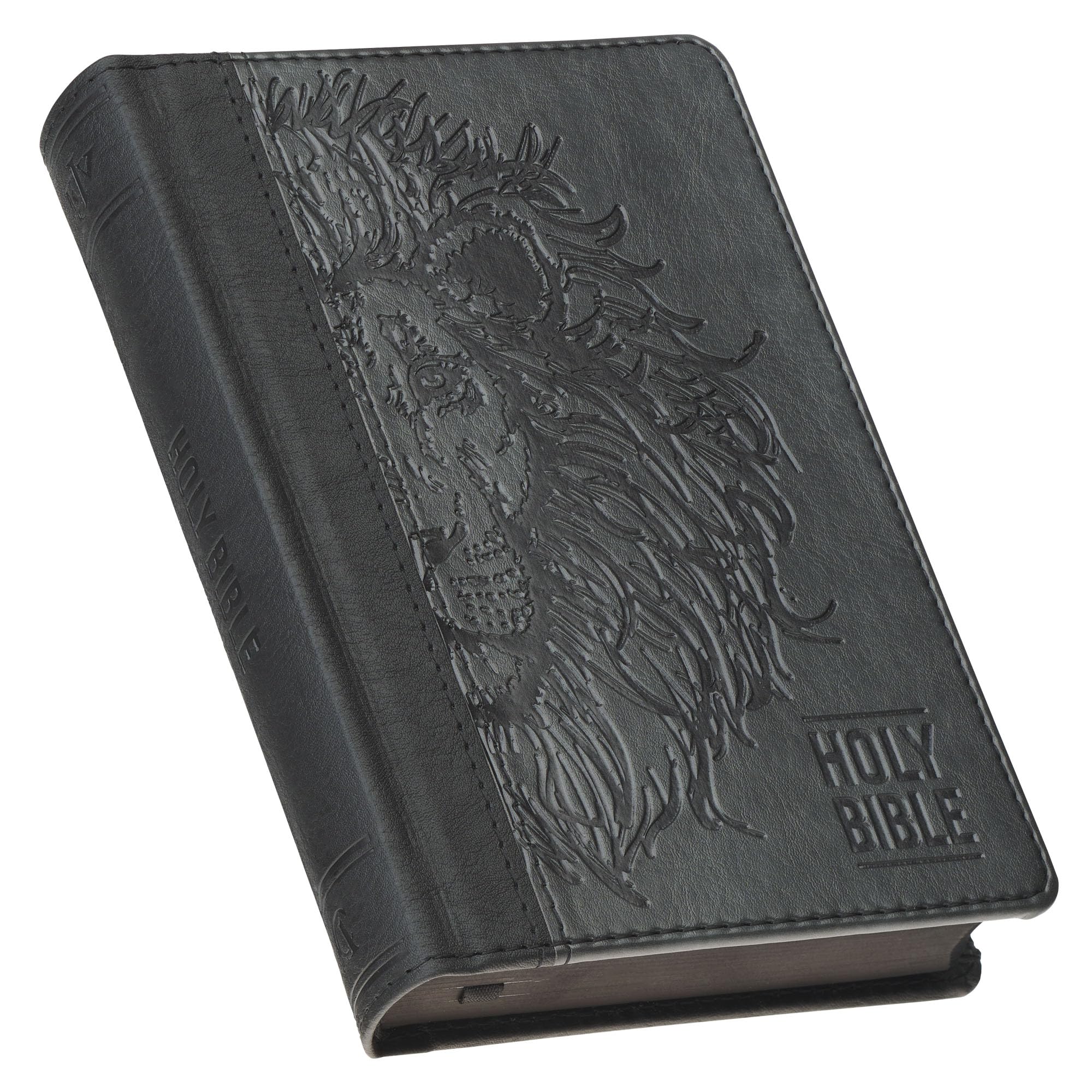 KJV Bible Compact Faux Leather, Black/Gray Religion & Esotericism