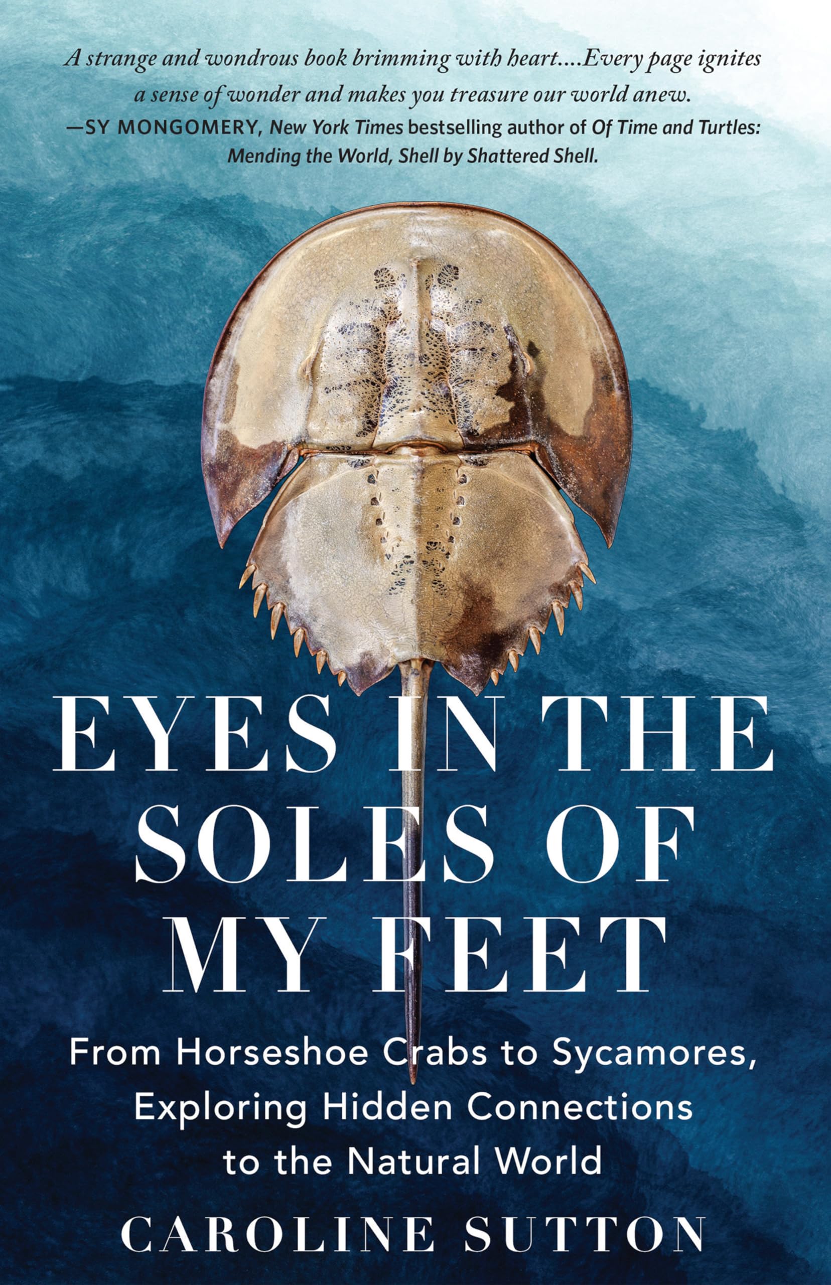 Eyes in the Soles of My Feet: From Horseshoe Crabs to Sycamores, Exploring Hidden Connections to the Natural World Mathematics