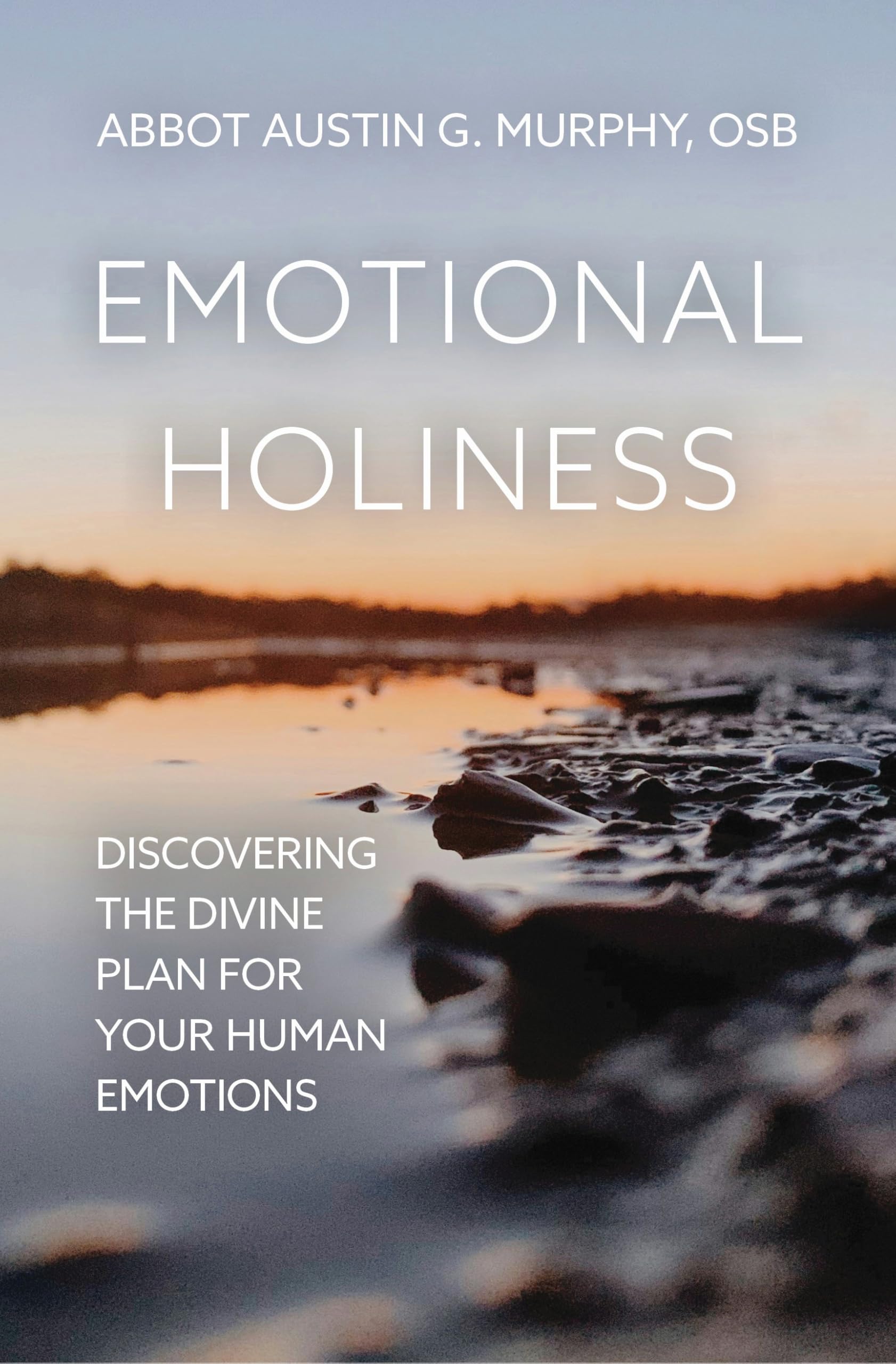 Emotional Holiness: Discovering the Divine Plan for Your Human Emotions Religion & Esotericism