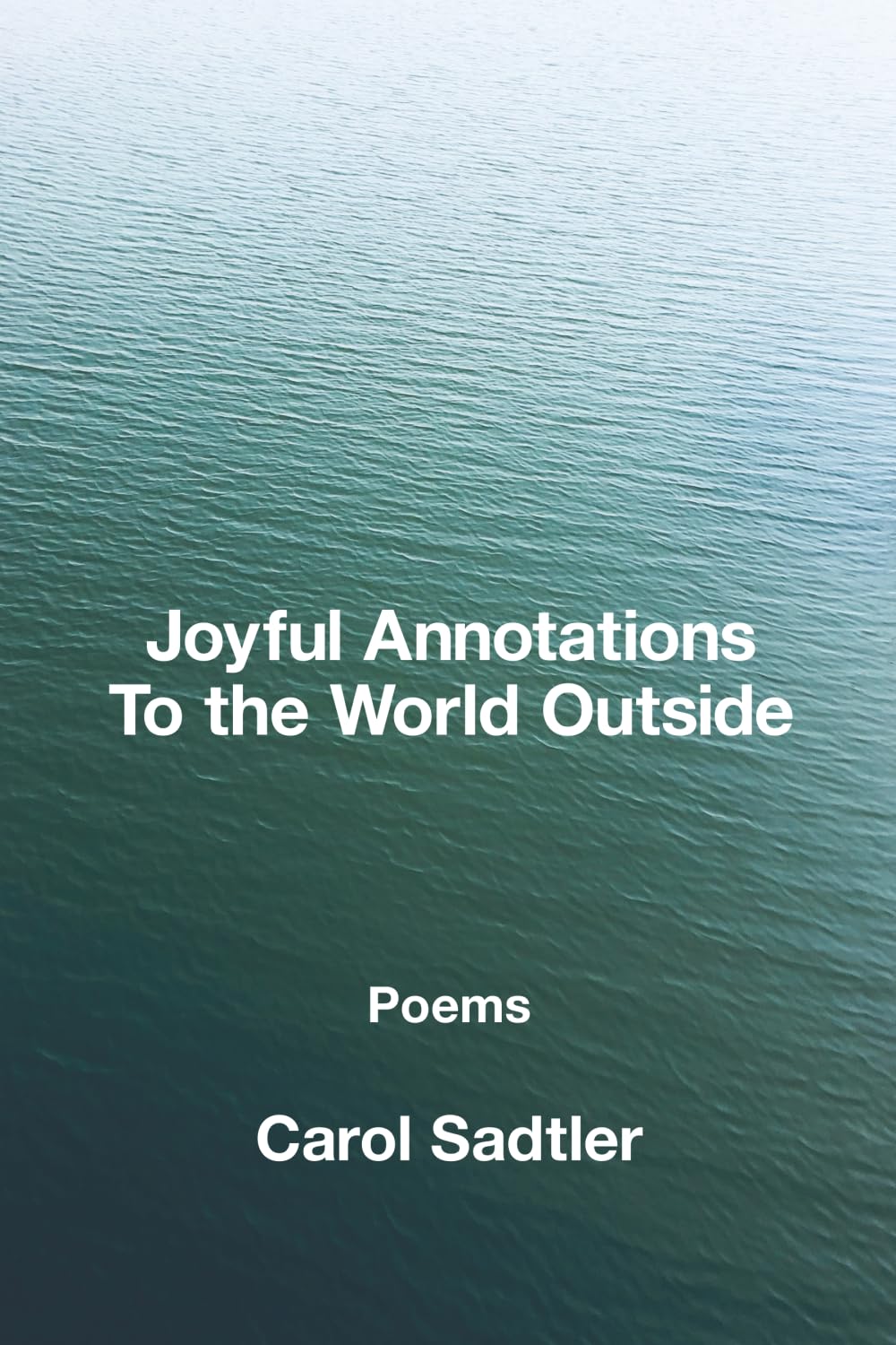 Product Image: Joyful Annotations to the World Outside