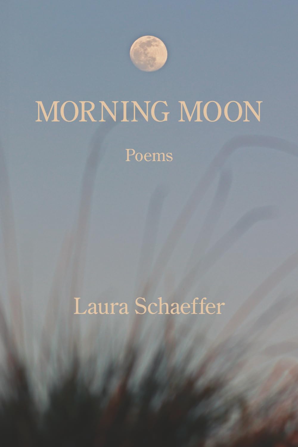 Morning Moon Poetry