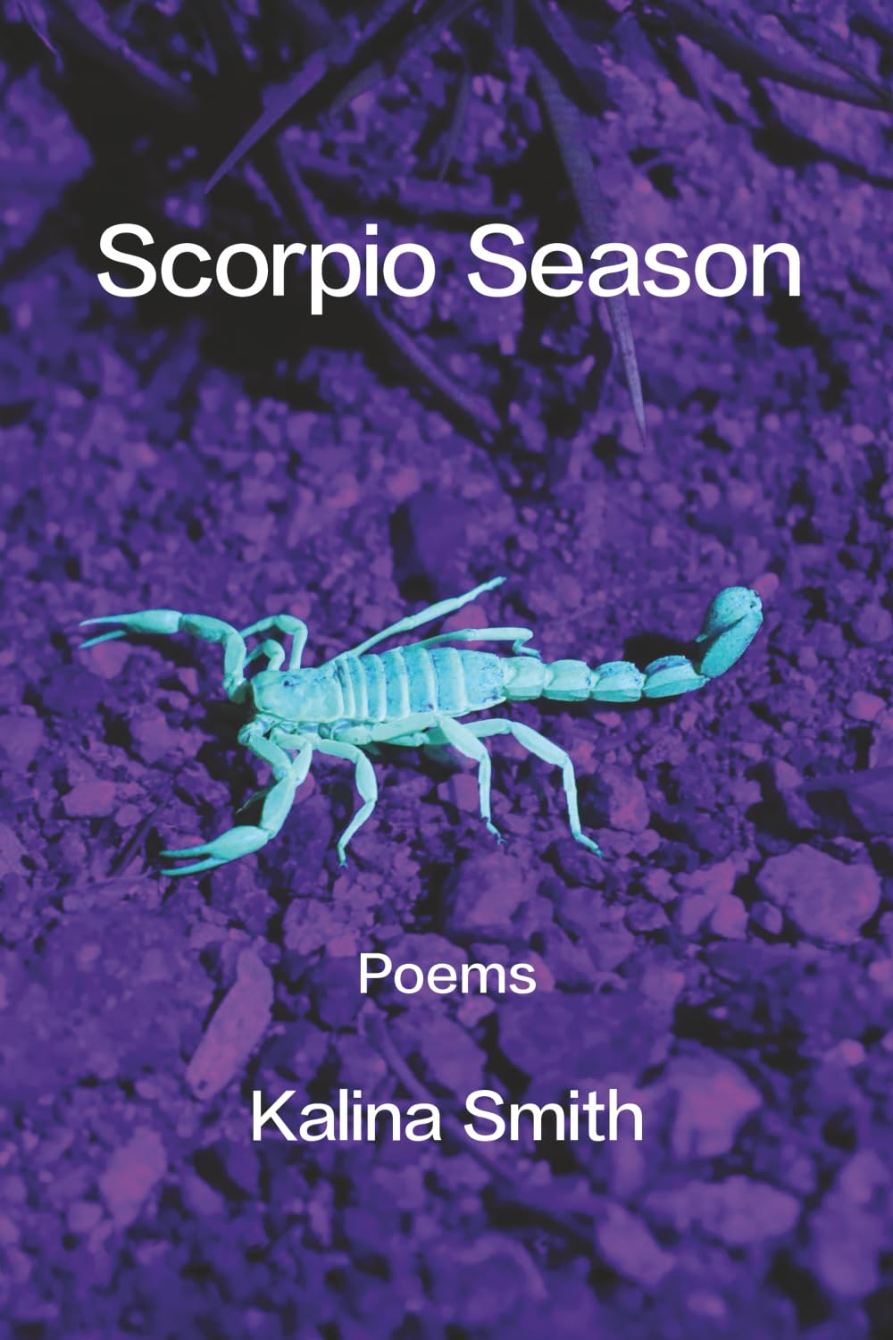 Product Image: Scorpio Season