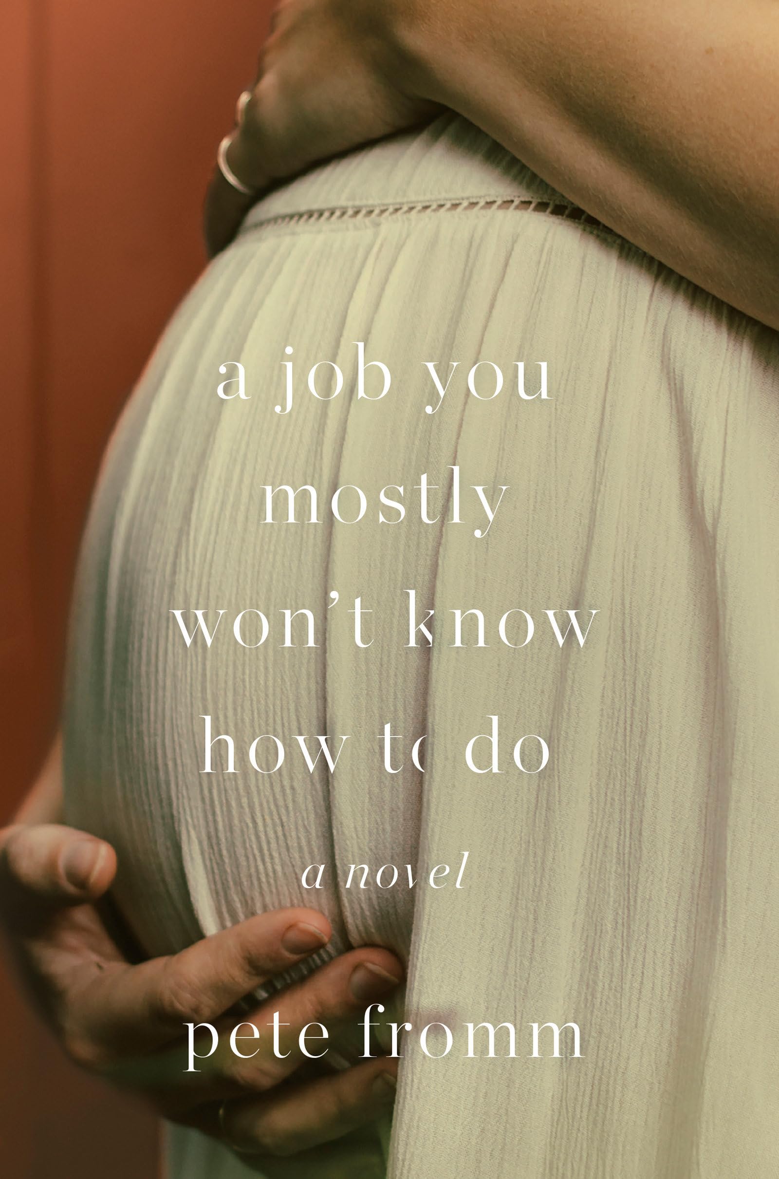 A Job You Mostly Won't Know How to Do: A Novel Contemporary literature
