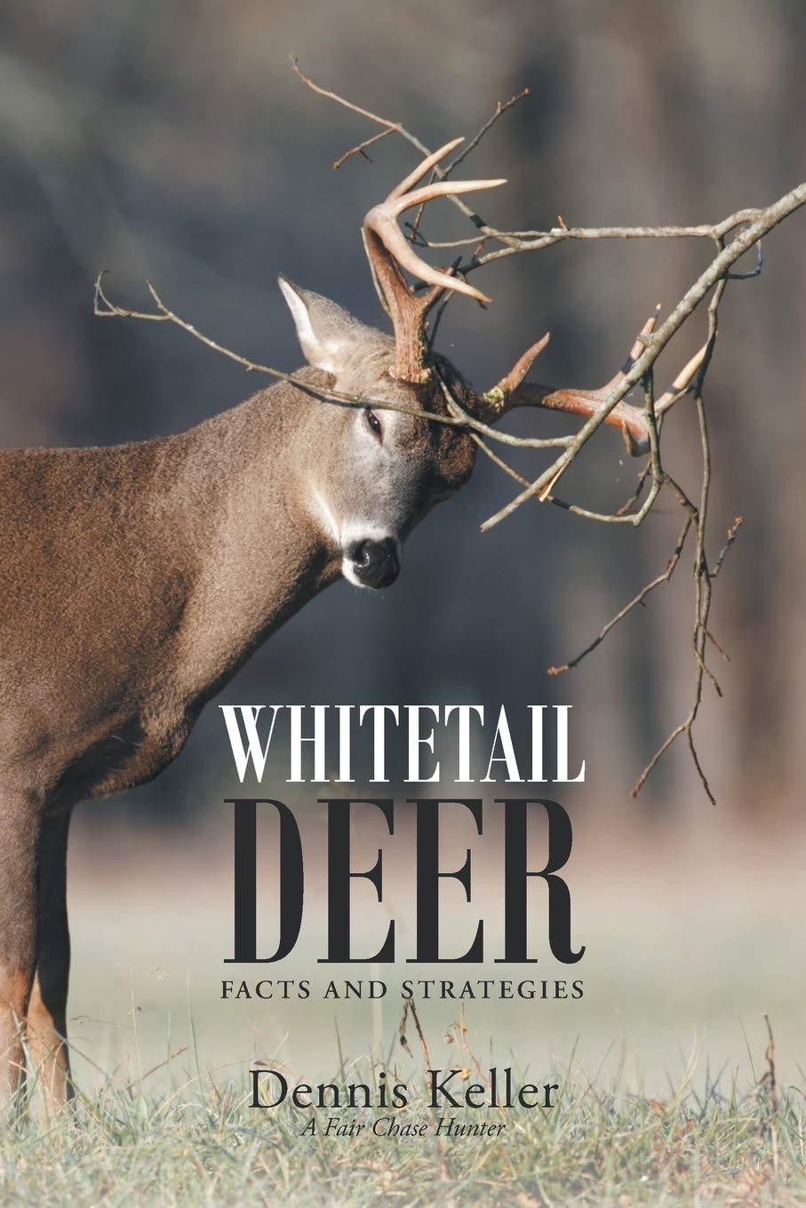 Whitetail Deer Facts and Strategies Mathematics