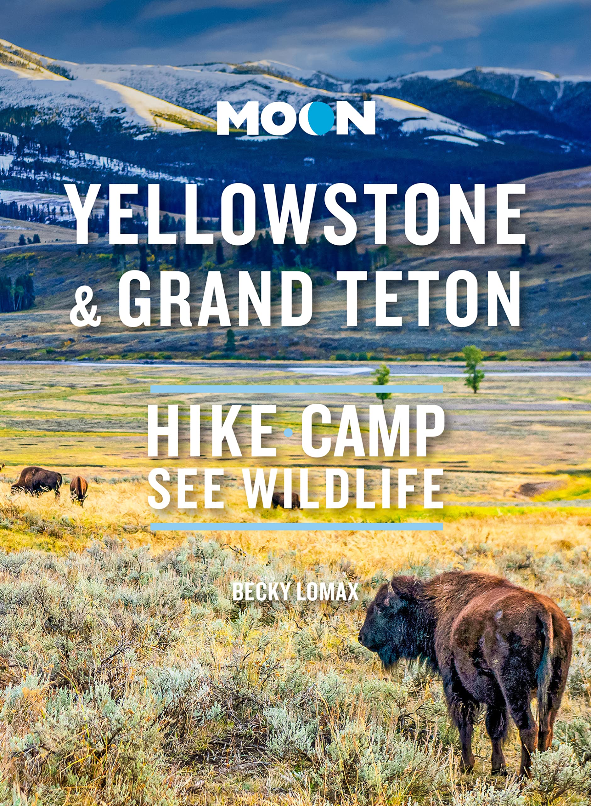 Moon Yellowstone & Grand Teton: Hike, Camp, See Wildlife (Travel Guide) Leisure, Home & Garden