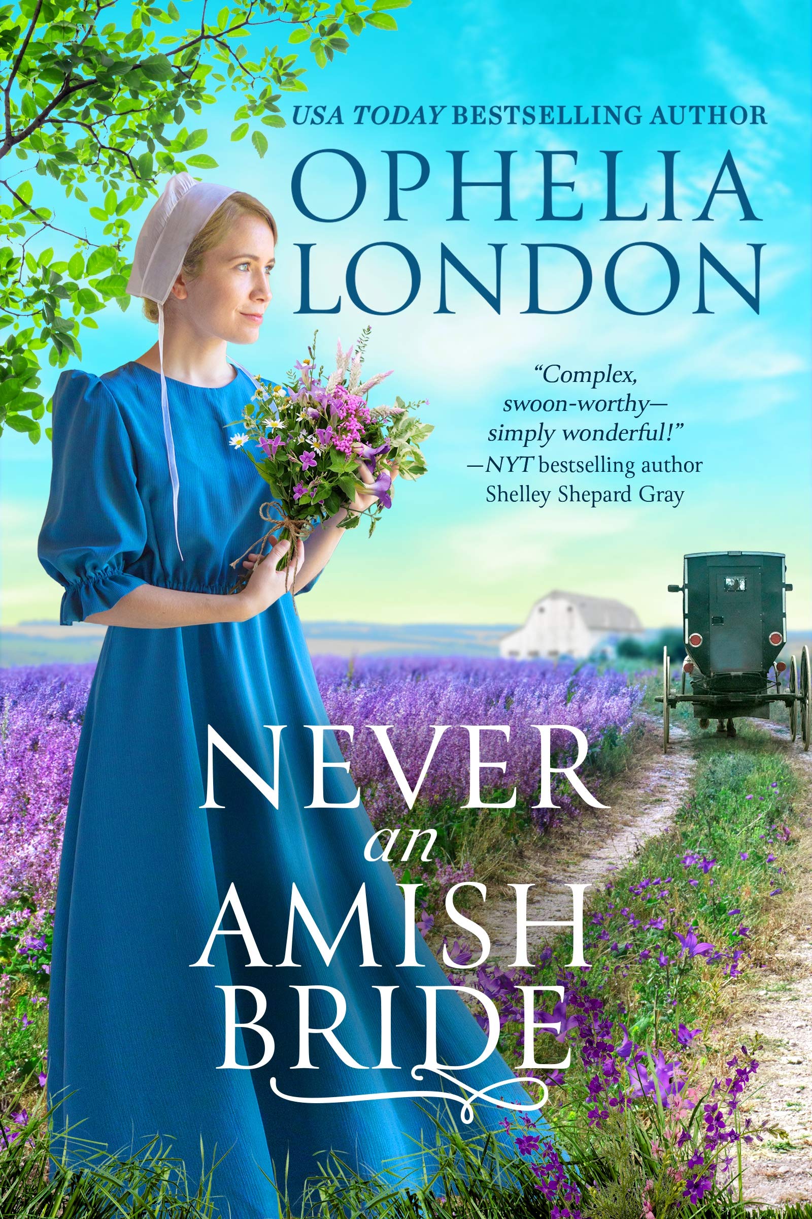 Never an Amish Bride (Honey Brook) Contemporary literature
