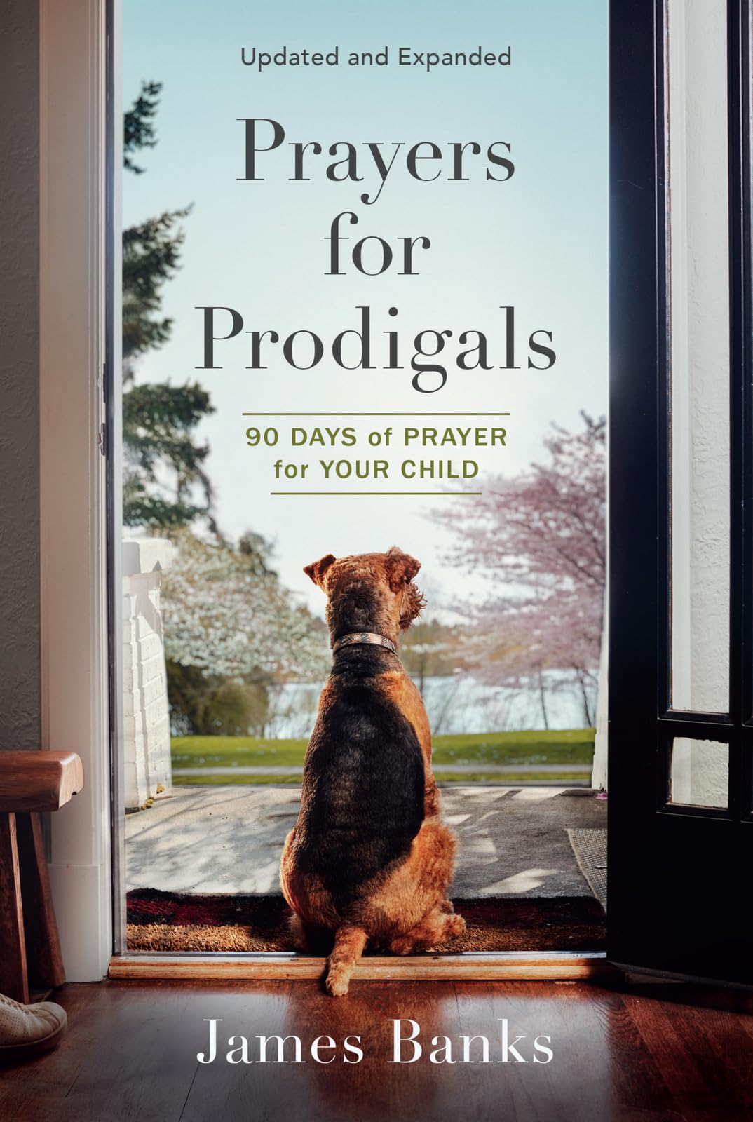 Prayers for Prodigals: 90 Days of Prayer for Your Child Parents & Children