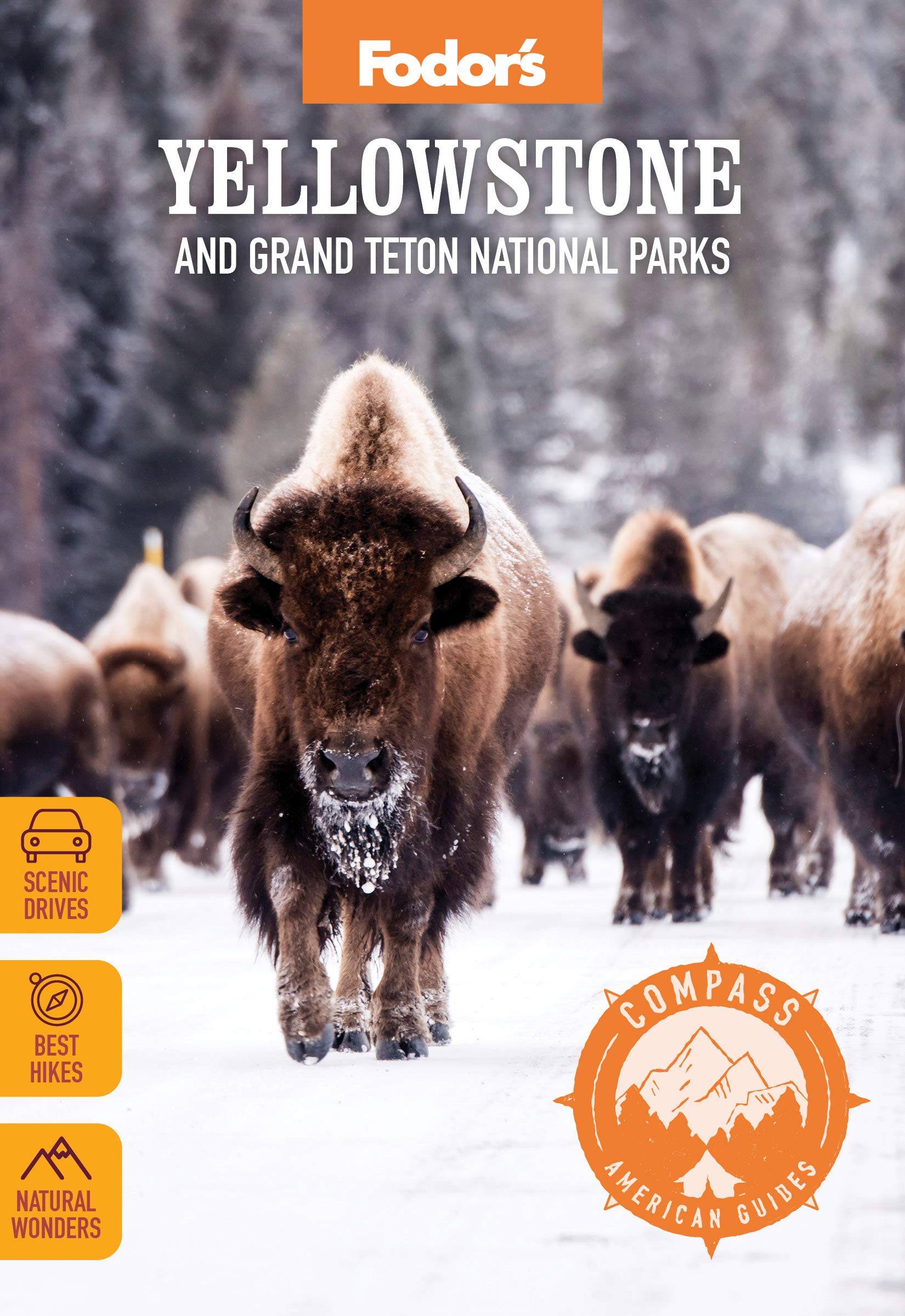 Fodor's Compass American Guides: Yellowstone and Grand Teton National Parks (Full-color Travel Guide) Leisure, Home & Garden