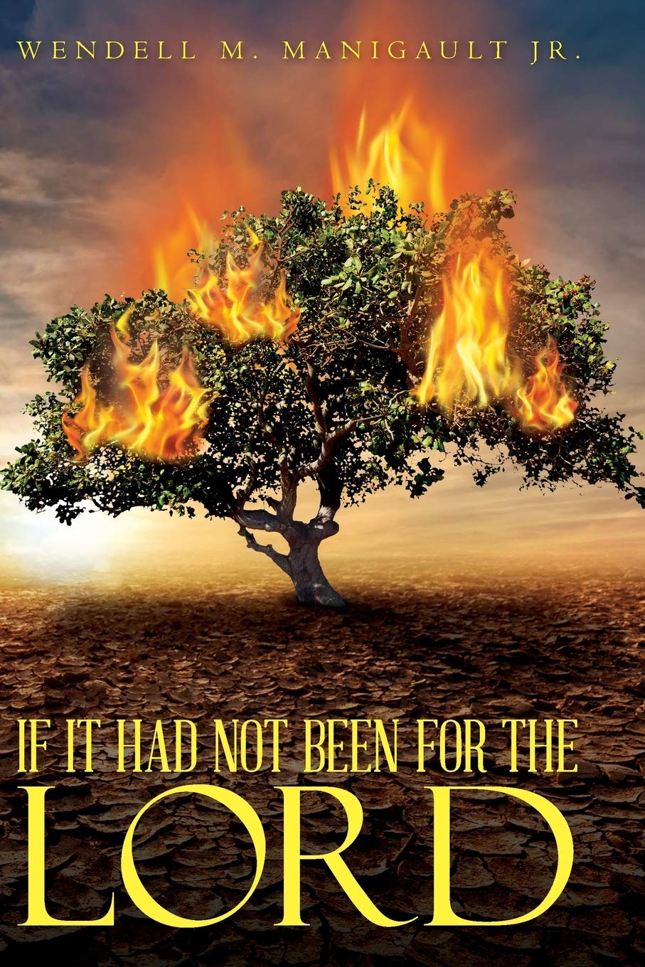 If It Had Not Been for the Lord Medicine